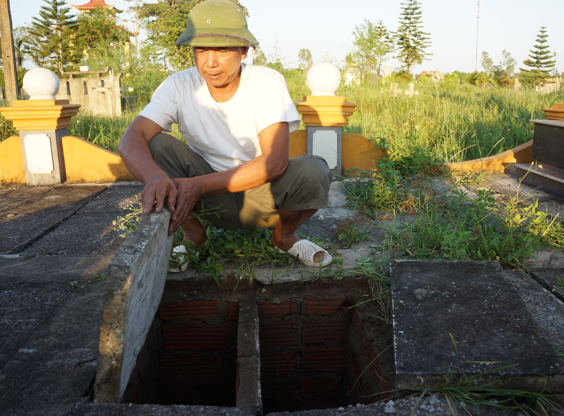 chon cat thai nhi anh 3