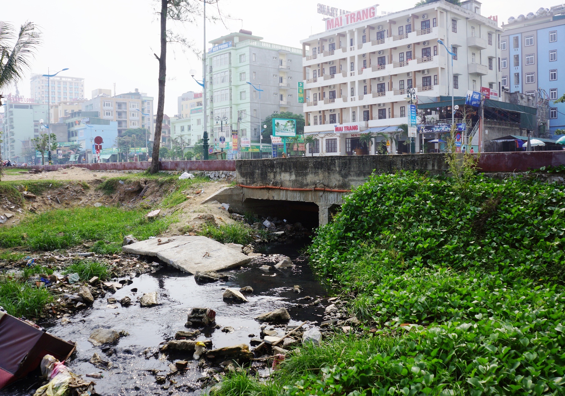 cong thai xa ra bien Sam Son anh 1