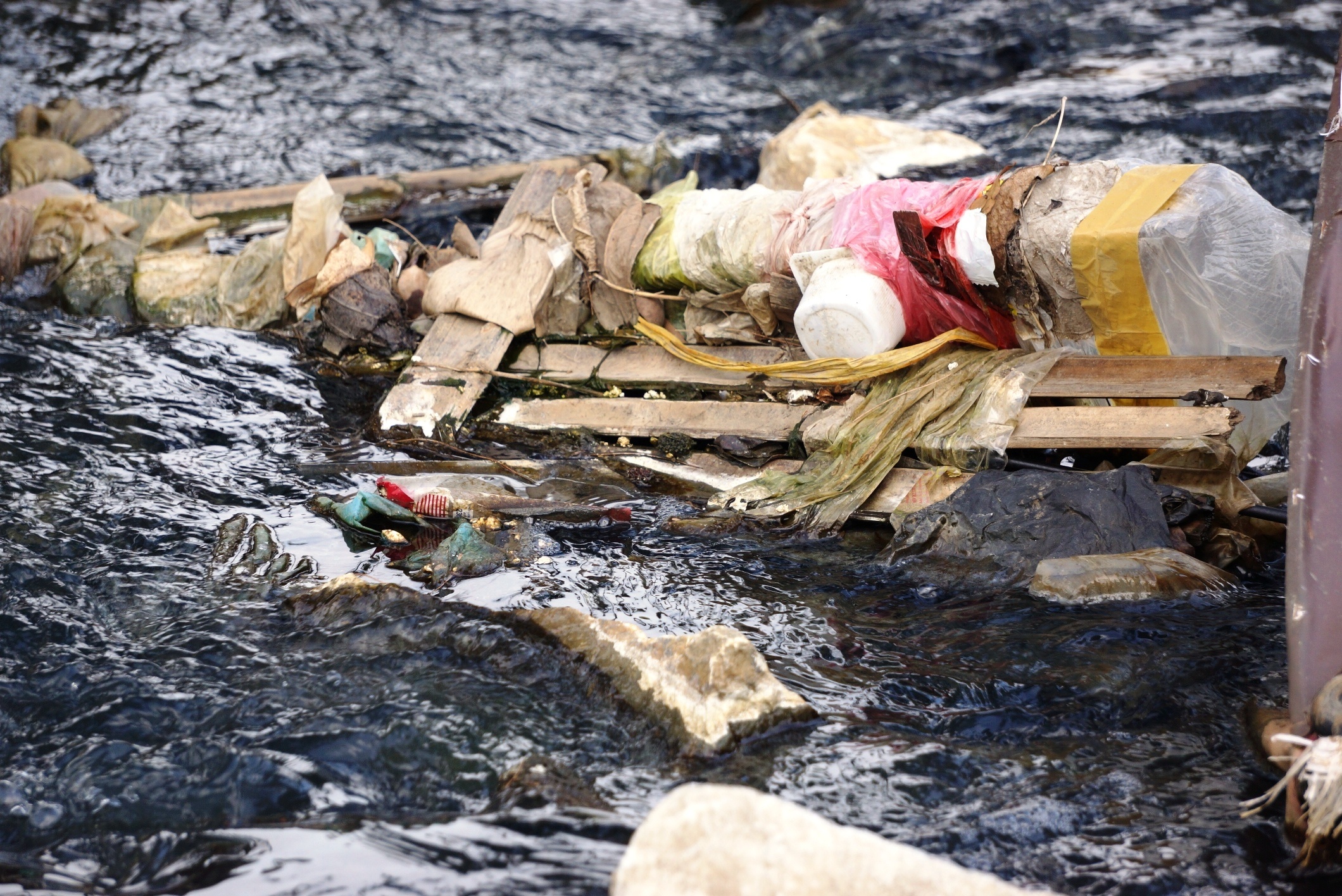 cong thai xa ra bien Sam Son anh 2