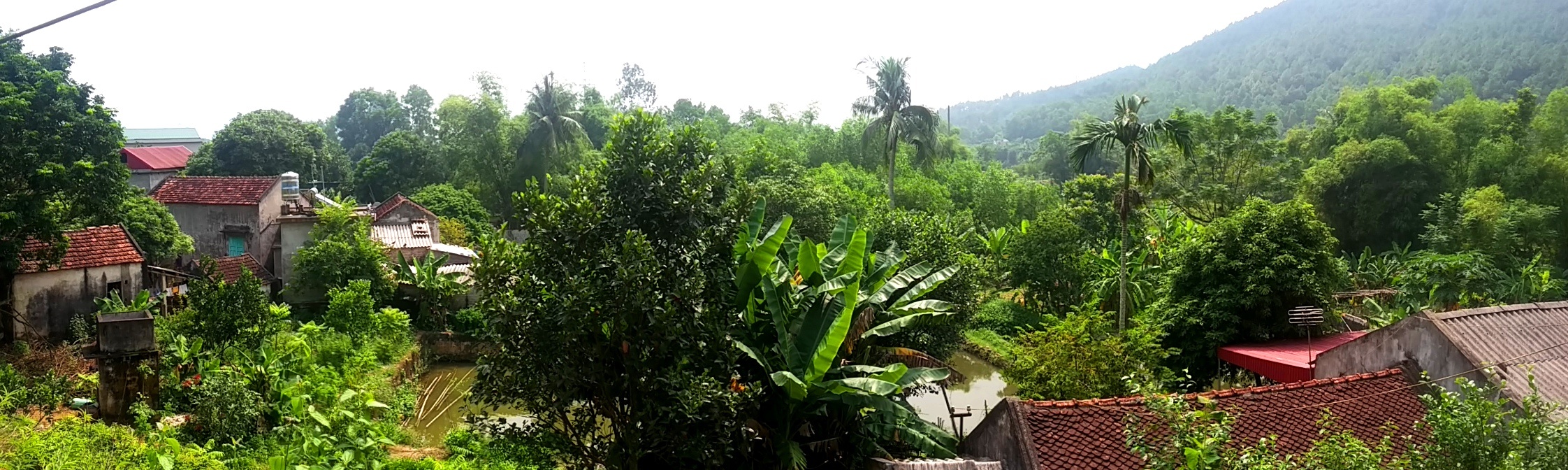 xay nha trai phep o khu bao ton anh 1