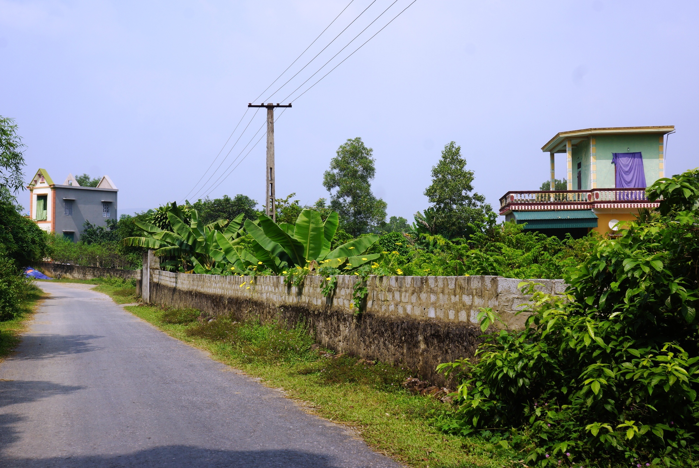 xay nha trai phep o khu bao ton anh 2