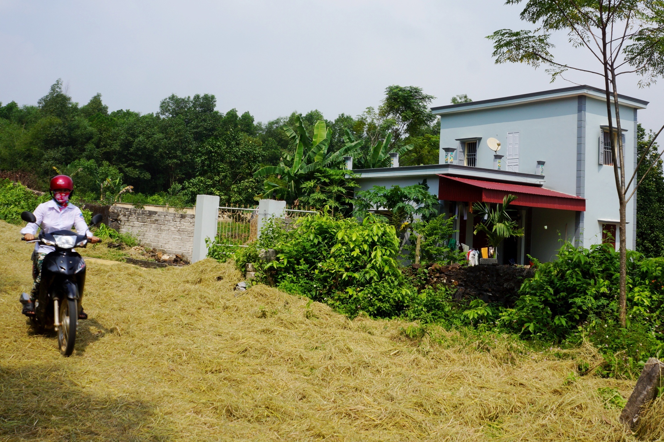 xay nha trai phep o khu bao ton anh 3