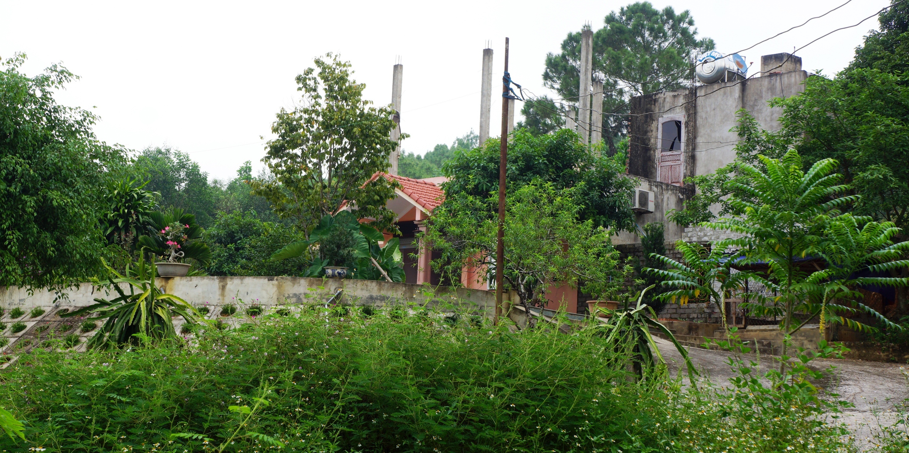 xay nha trai phep o khu bao ton anh 8