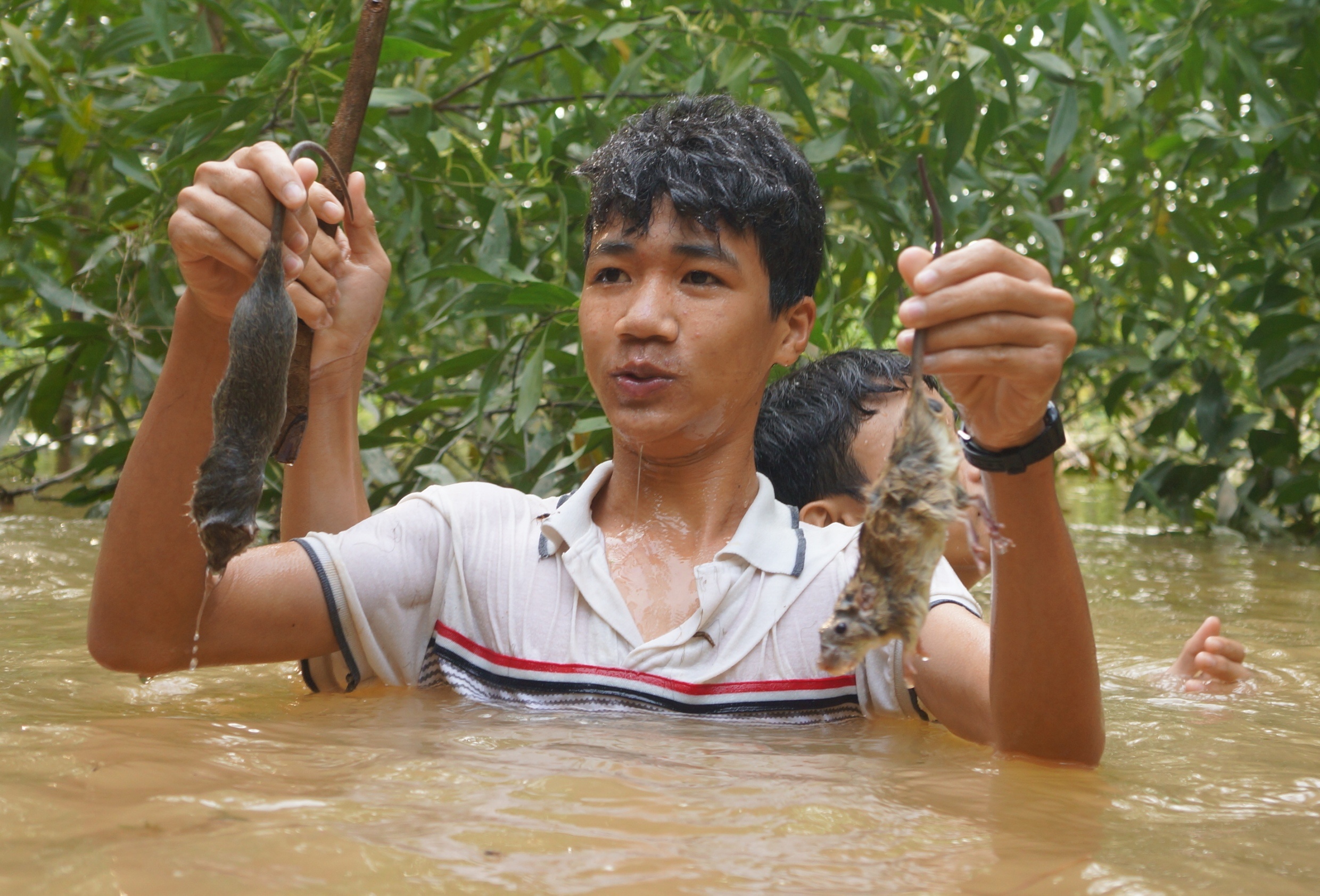 san chuot mua lu anh 6