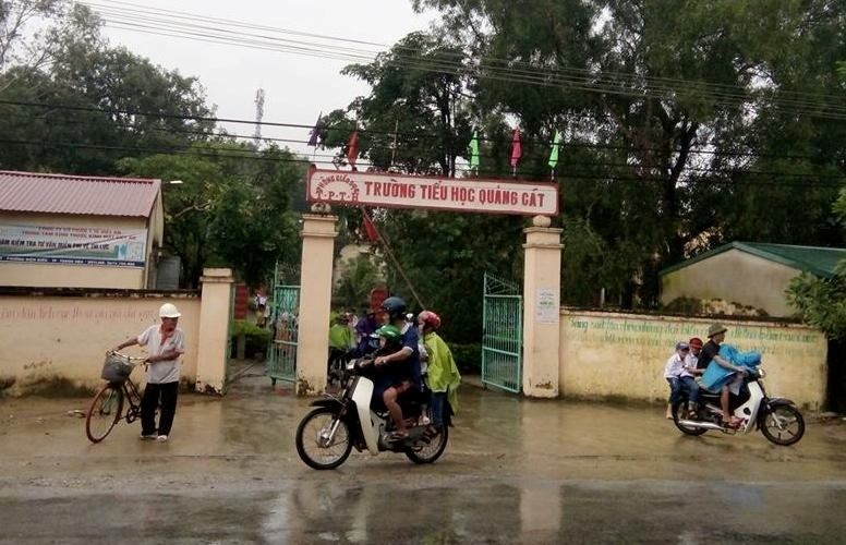 thu tiền cắt tỉa cây cảnh ảnh 2 thu tien cat tia cay canh anh 2