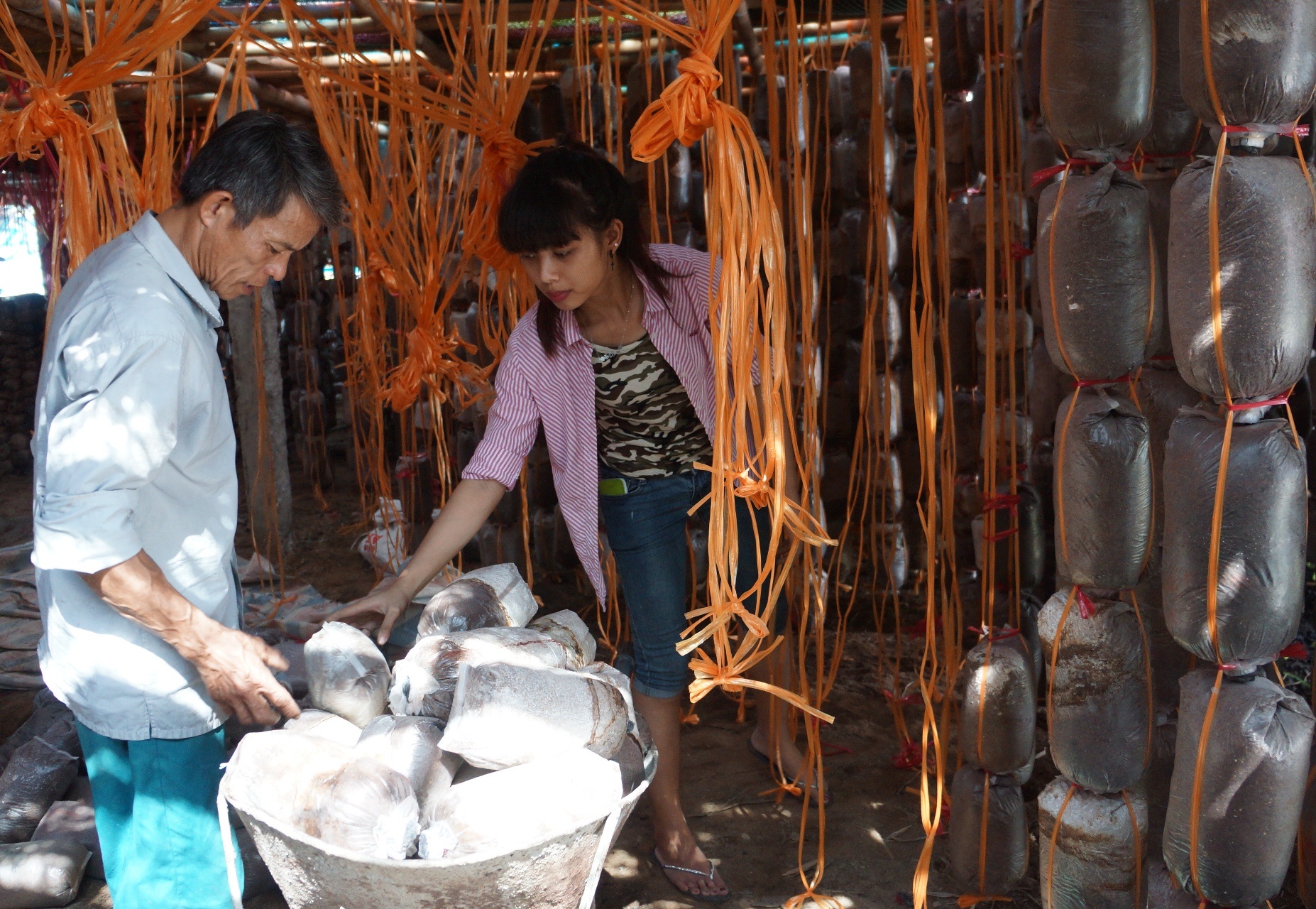 chu trang trai nam tien ty anh 2