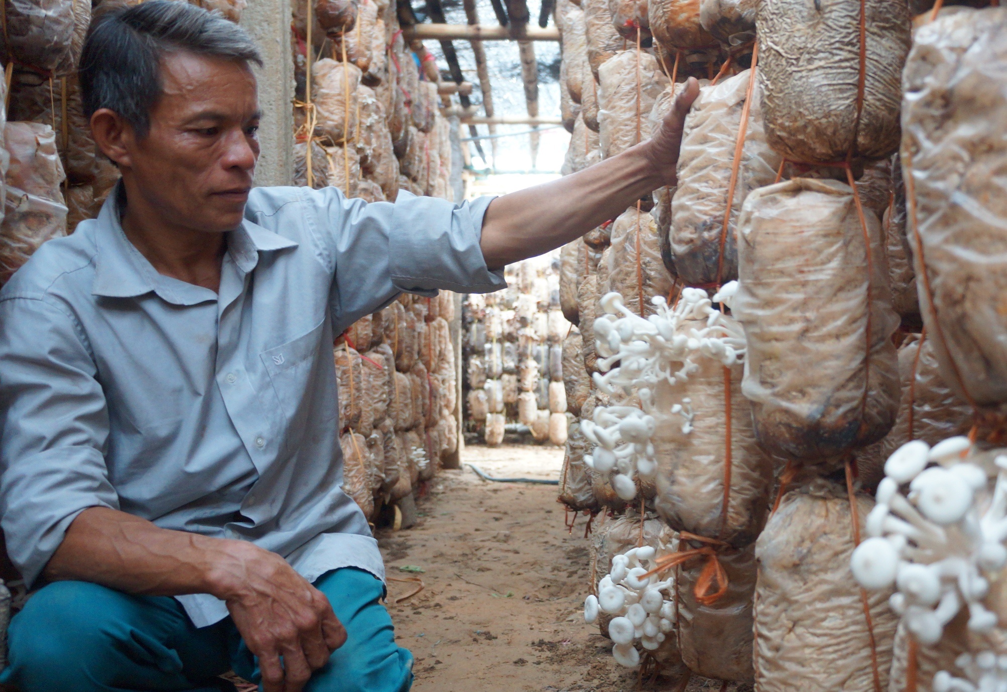 Tu nguoi lam thue tro thanh chu trang trai nam tien ty hinh anh