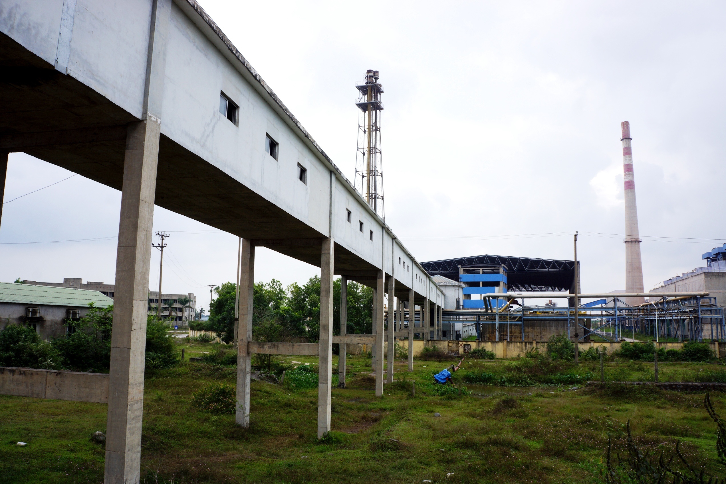 nha may dam 12.000 ty thua lo anh 11