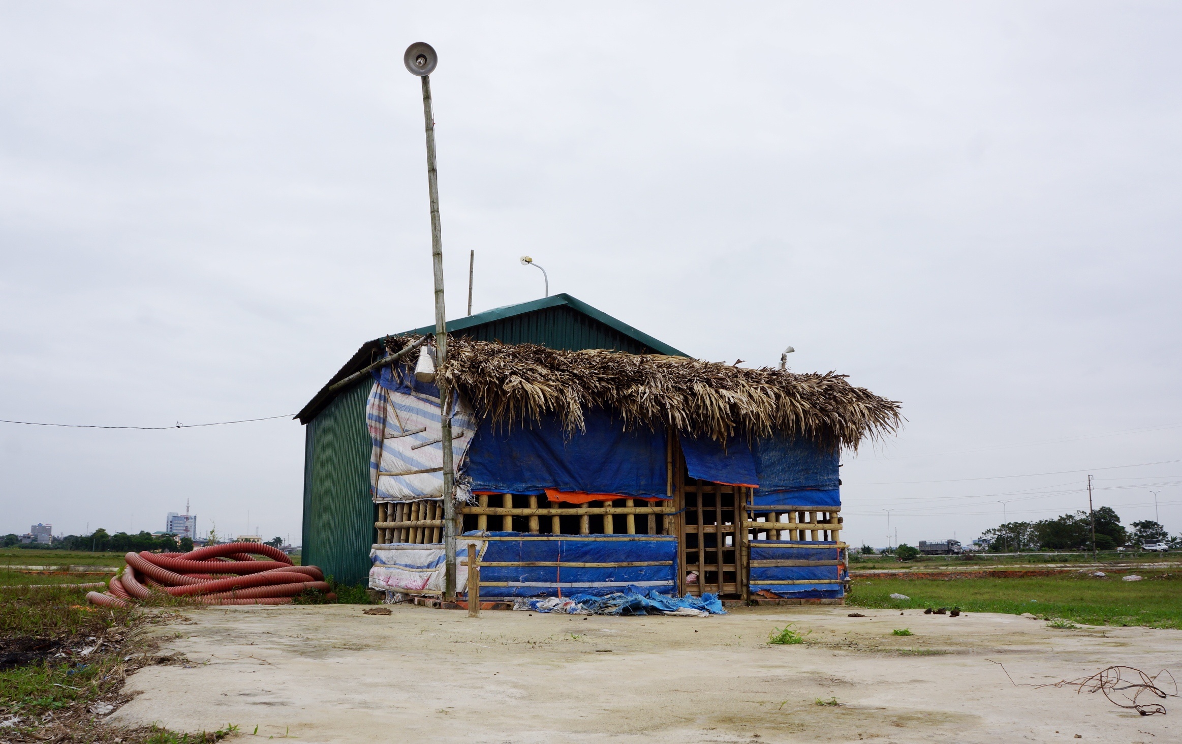 du an thanh noi chich hut ma tuy anh 6