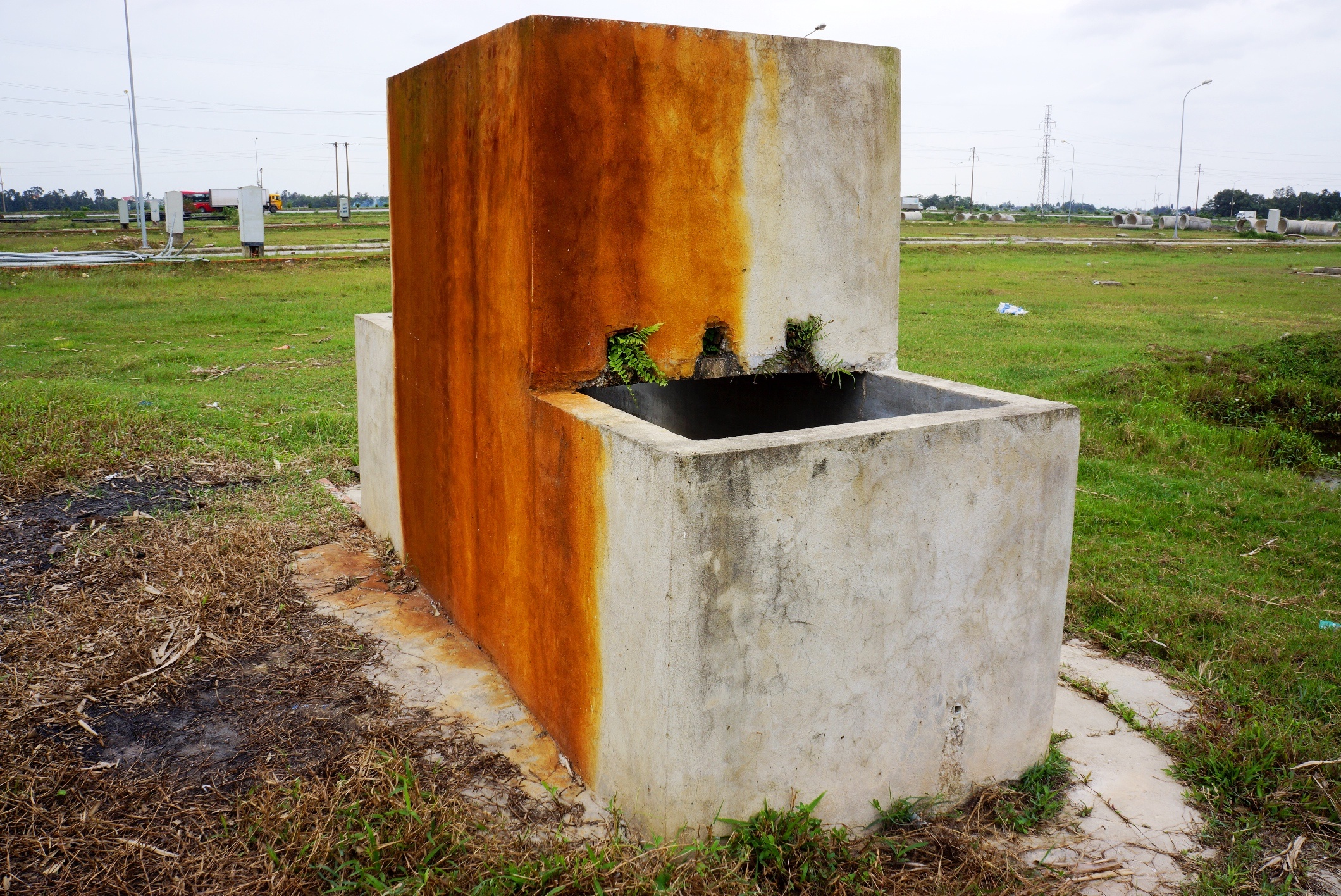 du an thanh noi chich hut ma tuy anh 7