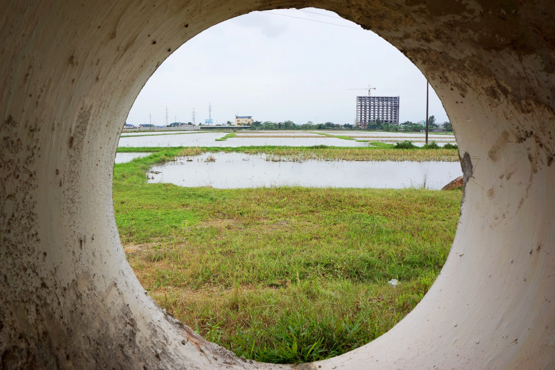 du an thanh noi chich hut ma tuy anh 11