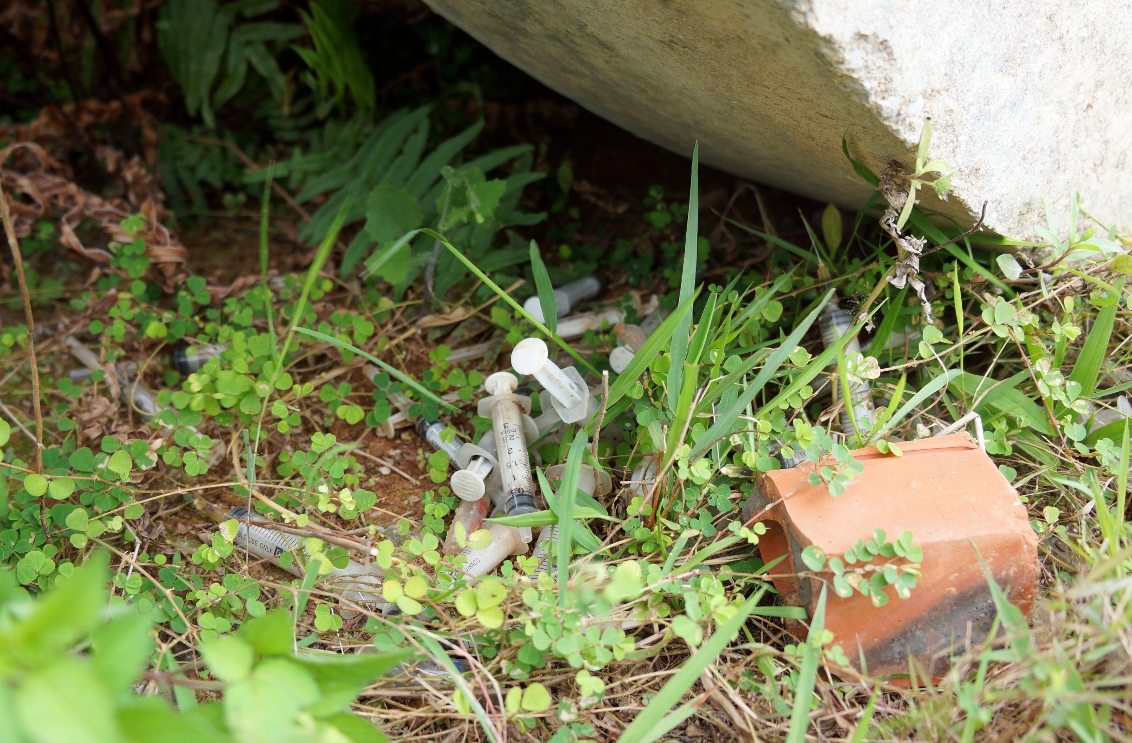 Du an khu tai dinh cu 300 ty dong thanh noi chich ma tuy hinh anh