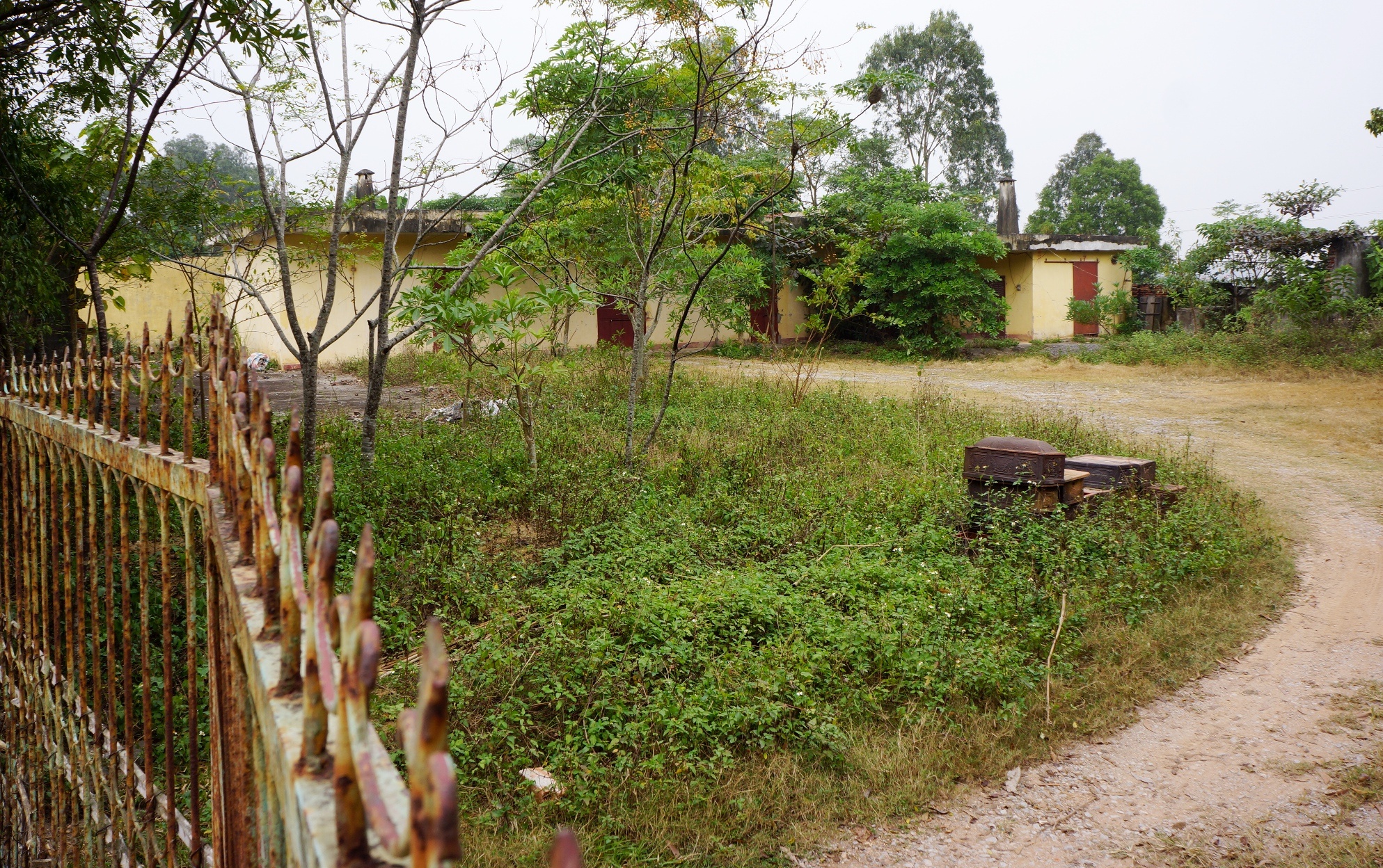 song canh kho thuoc sau anh 2