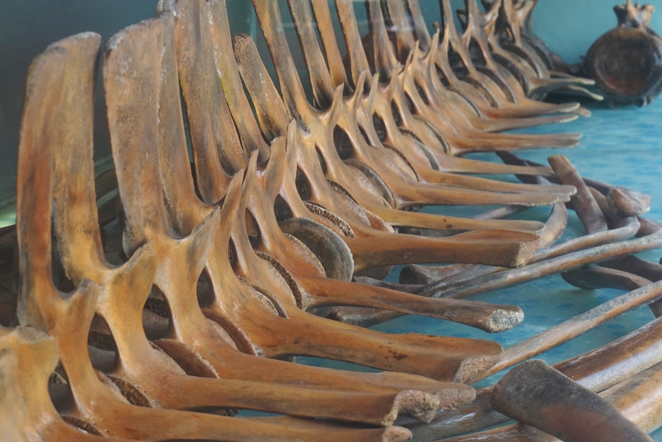 gop tien xay den tho ca voi anh 3