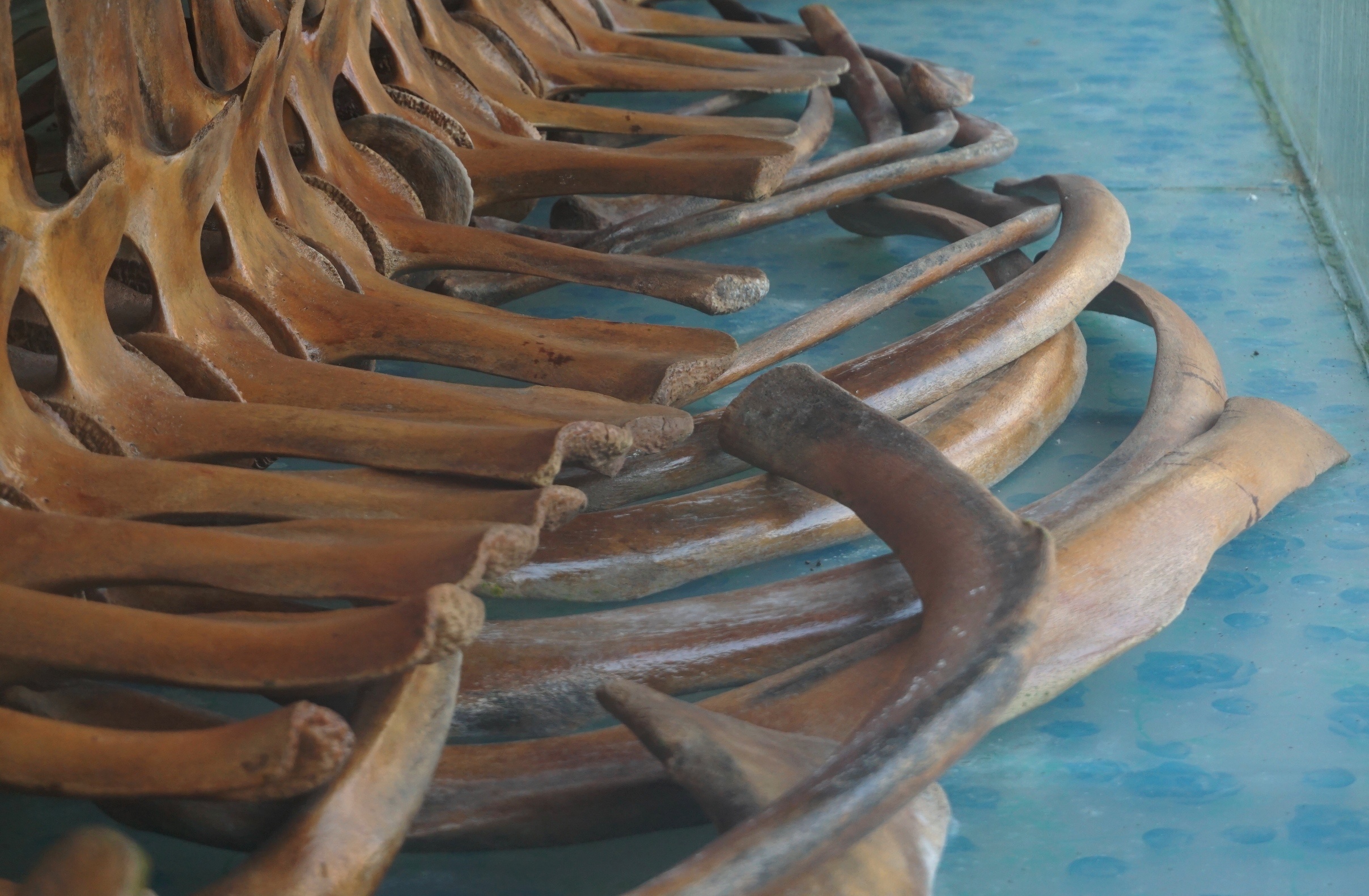 gop tien xay den tho ca voi anh 4