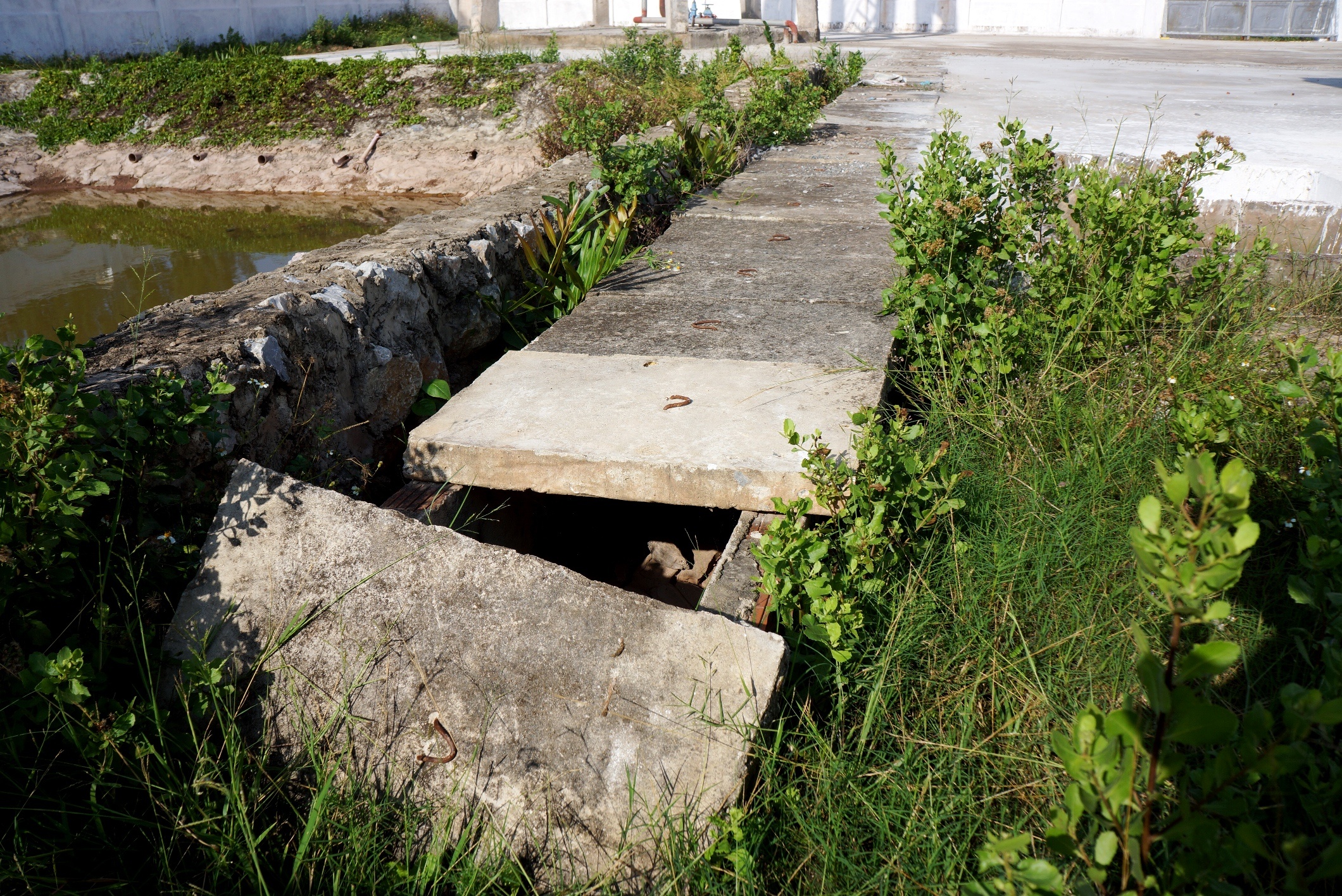 dan thieu nuoc,  nha may do dang anh 7