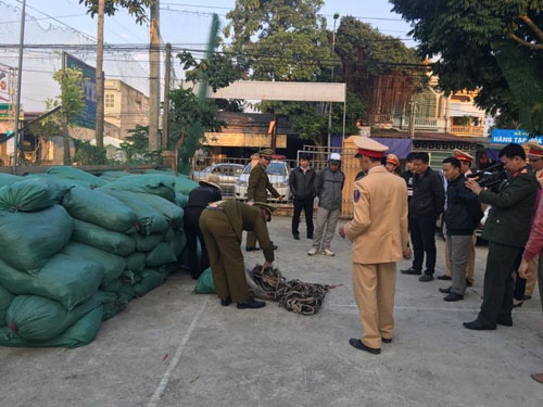 Chan xe tai tuon hon 11 tan da trau thoi ra Bac hinh anh