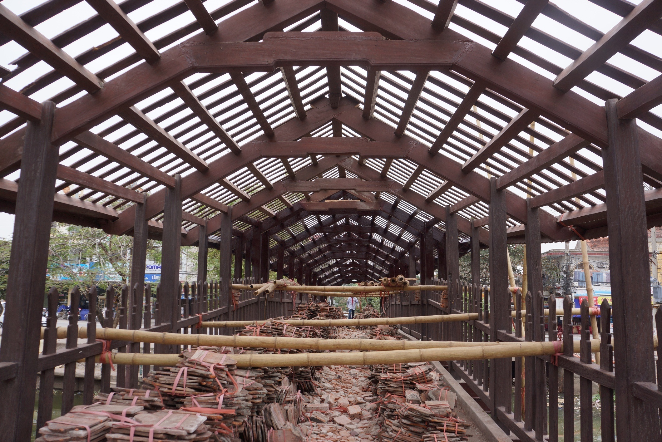 trung tu cau ngoi 115 tuoi anh 6