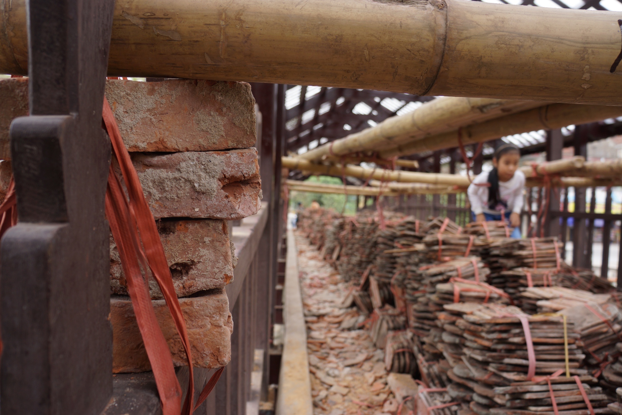 trung tu cau ngoi 115 tuoi anh 10