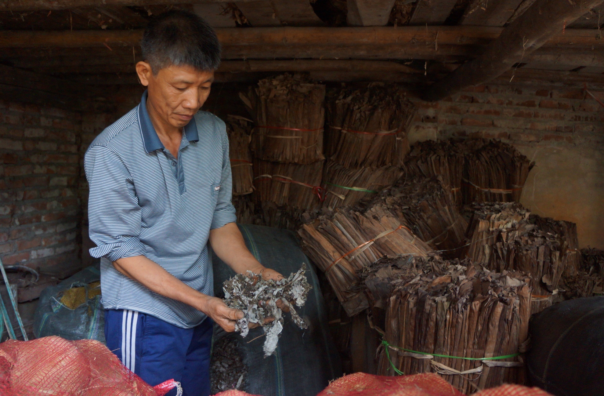 lang banh gai tien vua vu Tet anh 2