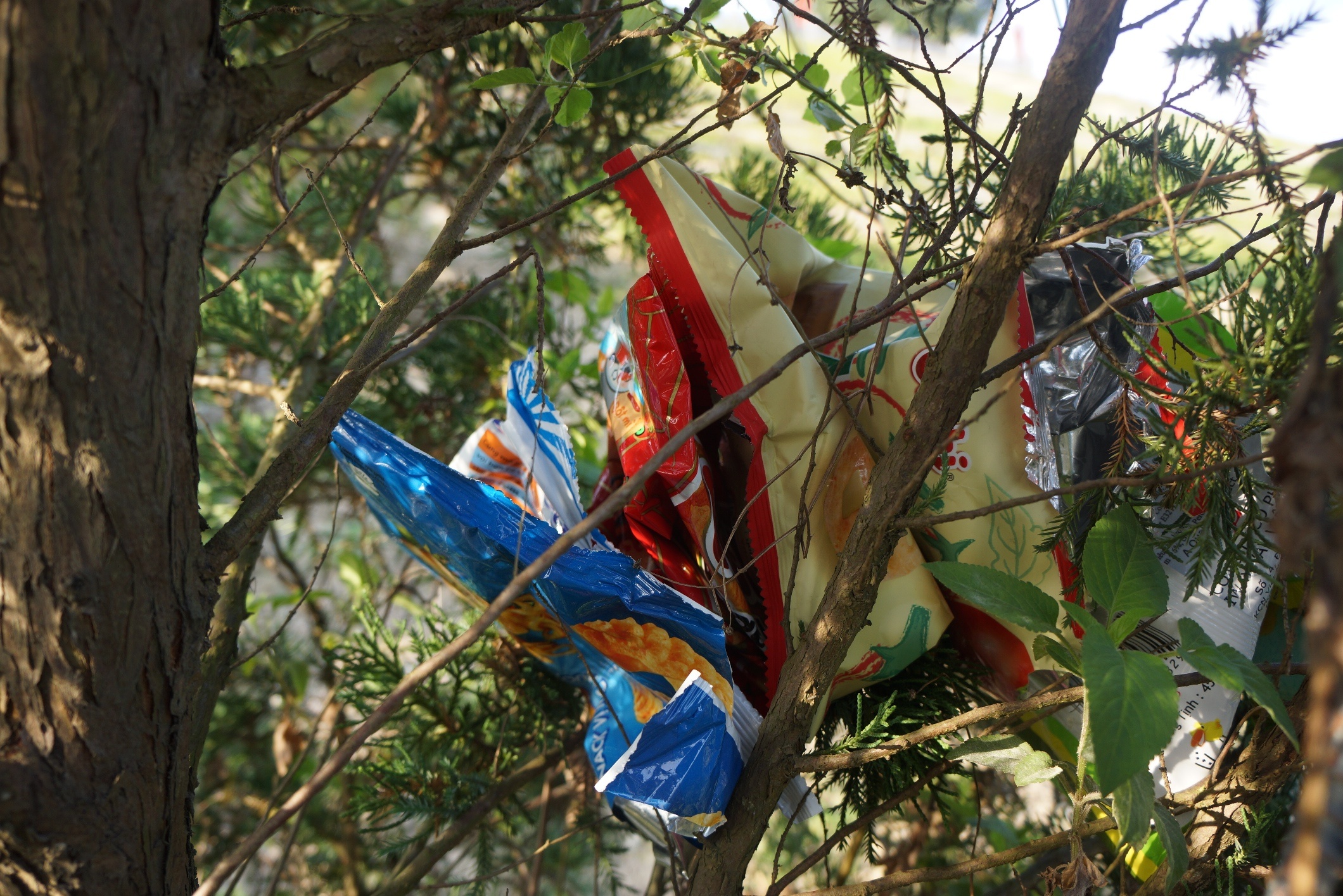 rac bua vay den tho 150 ty anh 6