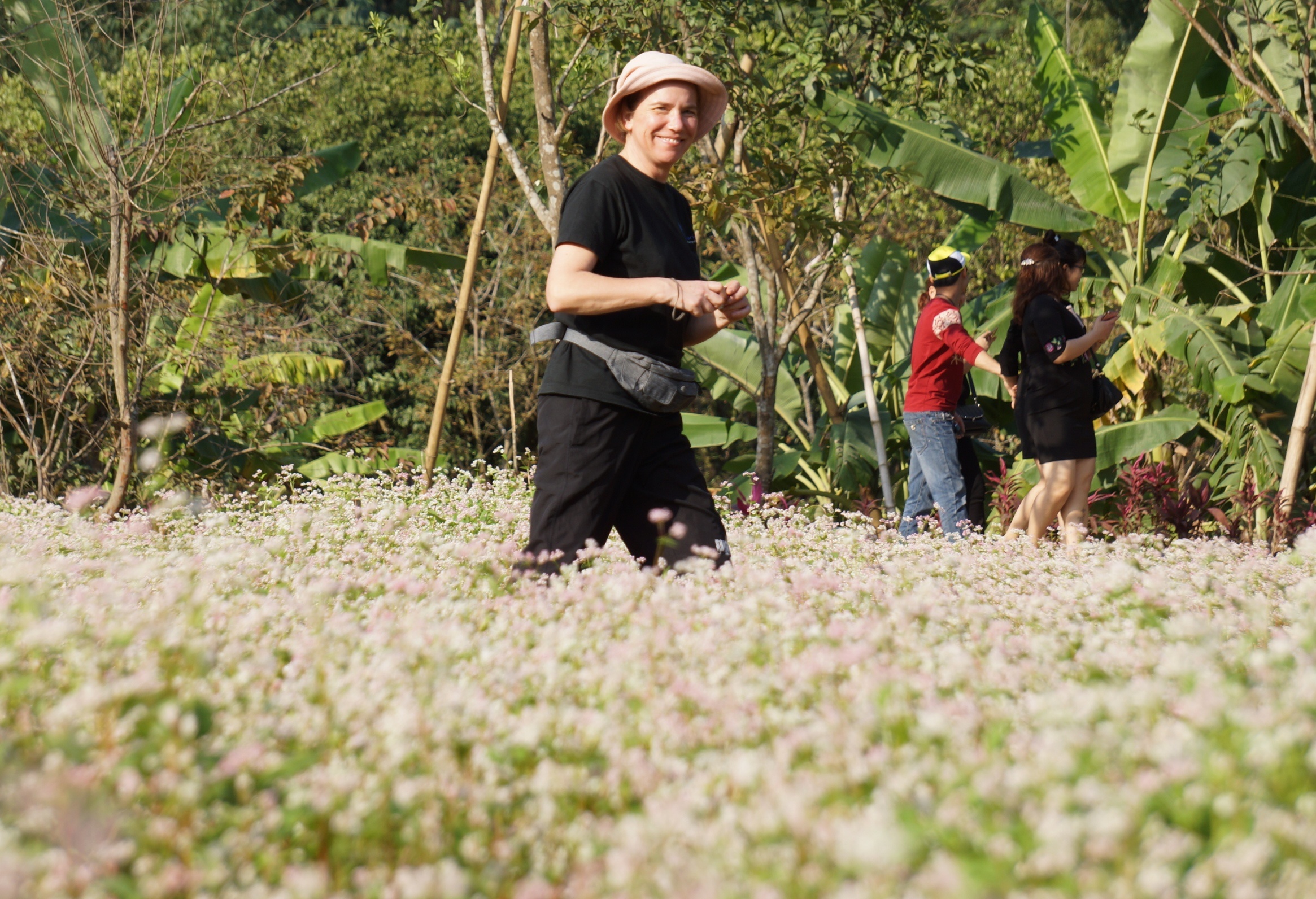 hoa tam giac mach o Ninh Binh anh 7
