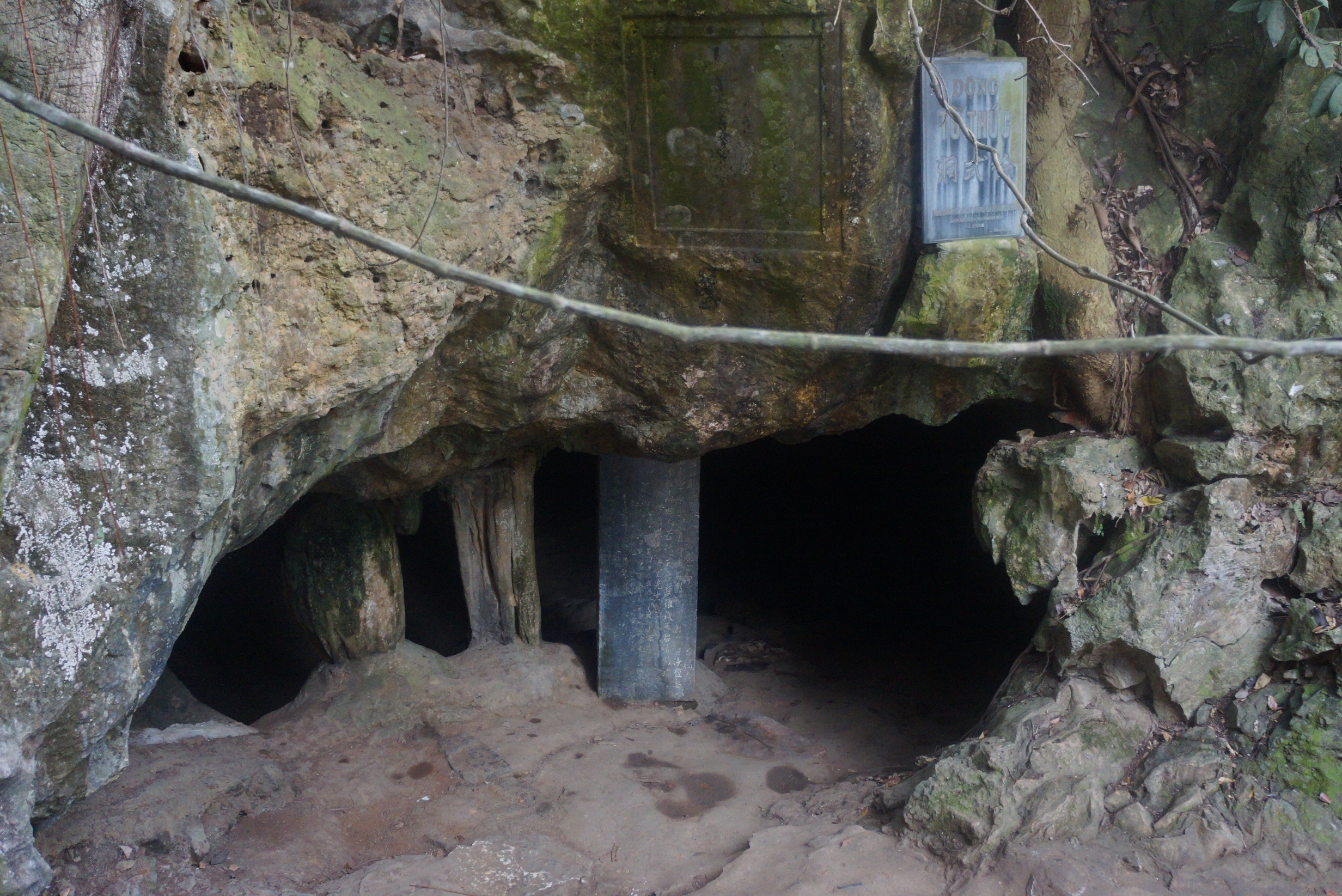 Dong Tu Thuc bi ve bay anh 1