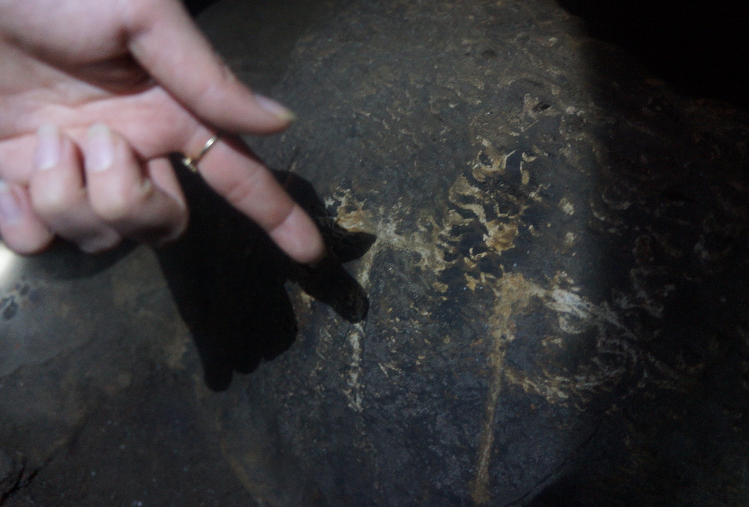 Dong Tu Thuc bi ve bay anh 7