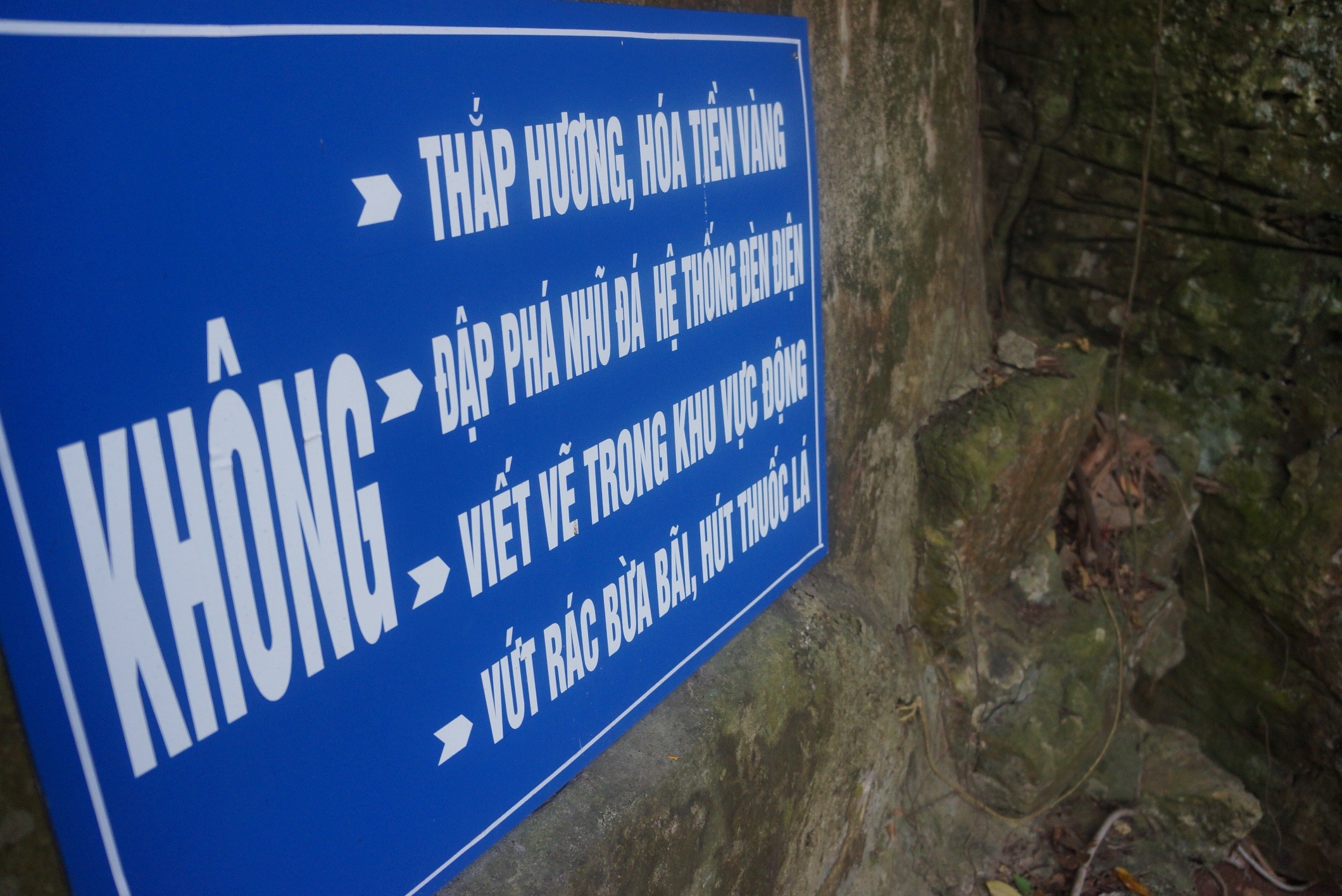 Dong Tu Thuc bi ve bay anh 9