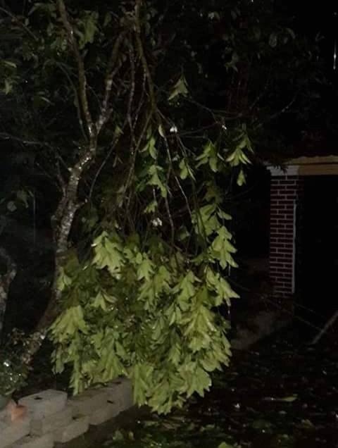 Mưa đá ở Thanh Hóa ảnh 2 Mua da o Thanh Hoa anh 2