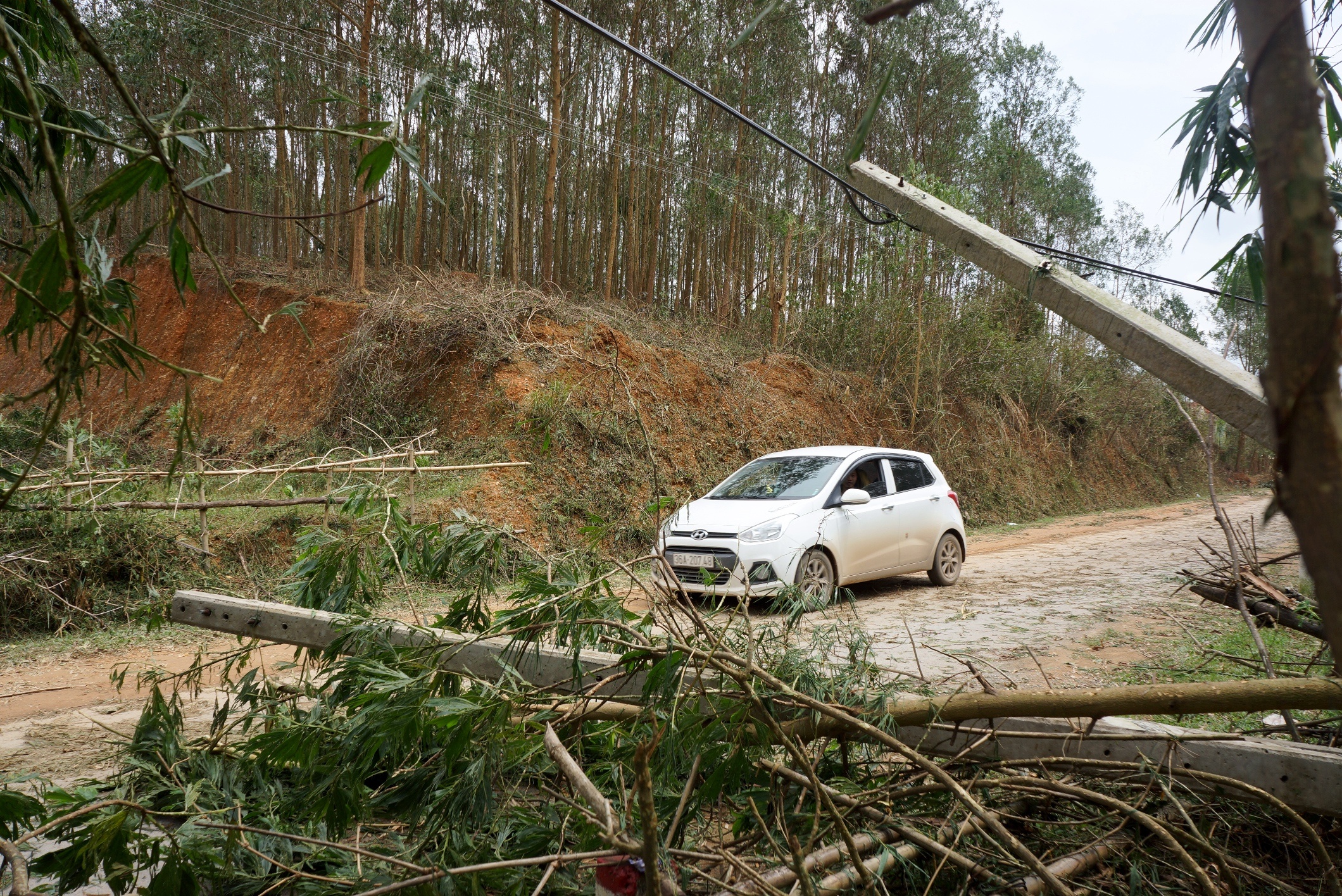 Ngon ngang sau con loc kem mua da o Thanh Hoa anh 4