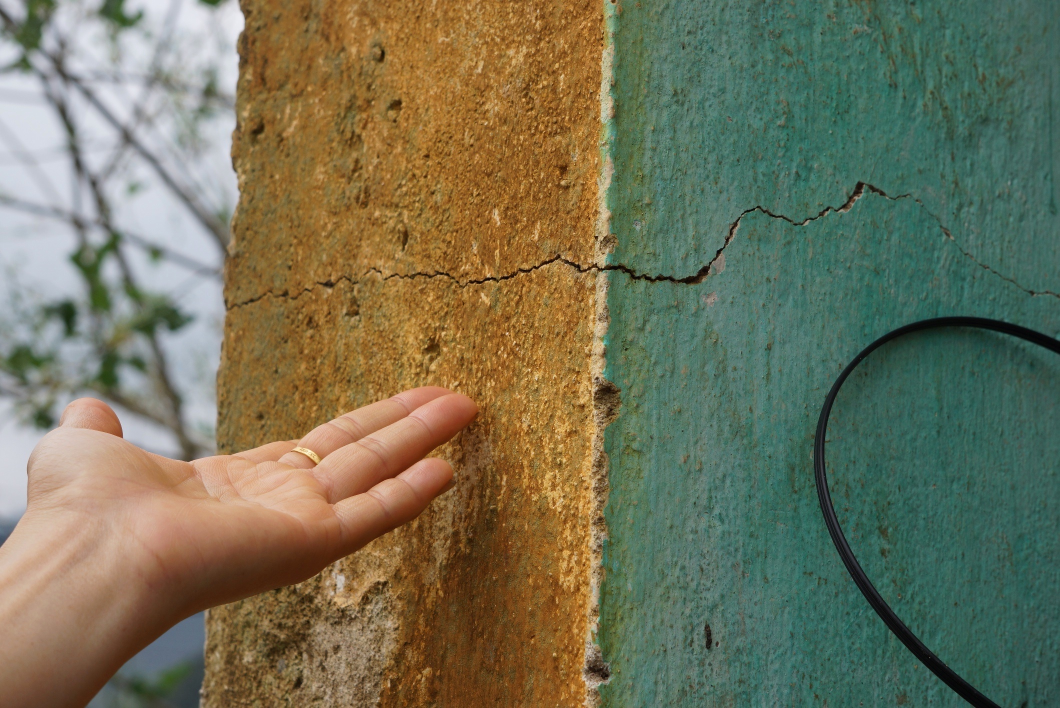 Ngon ngang sau con loc kem mua da o Thanh Hoa anh 10