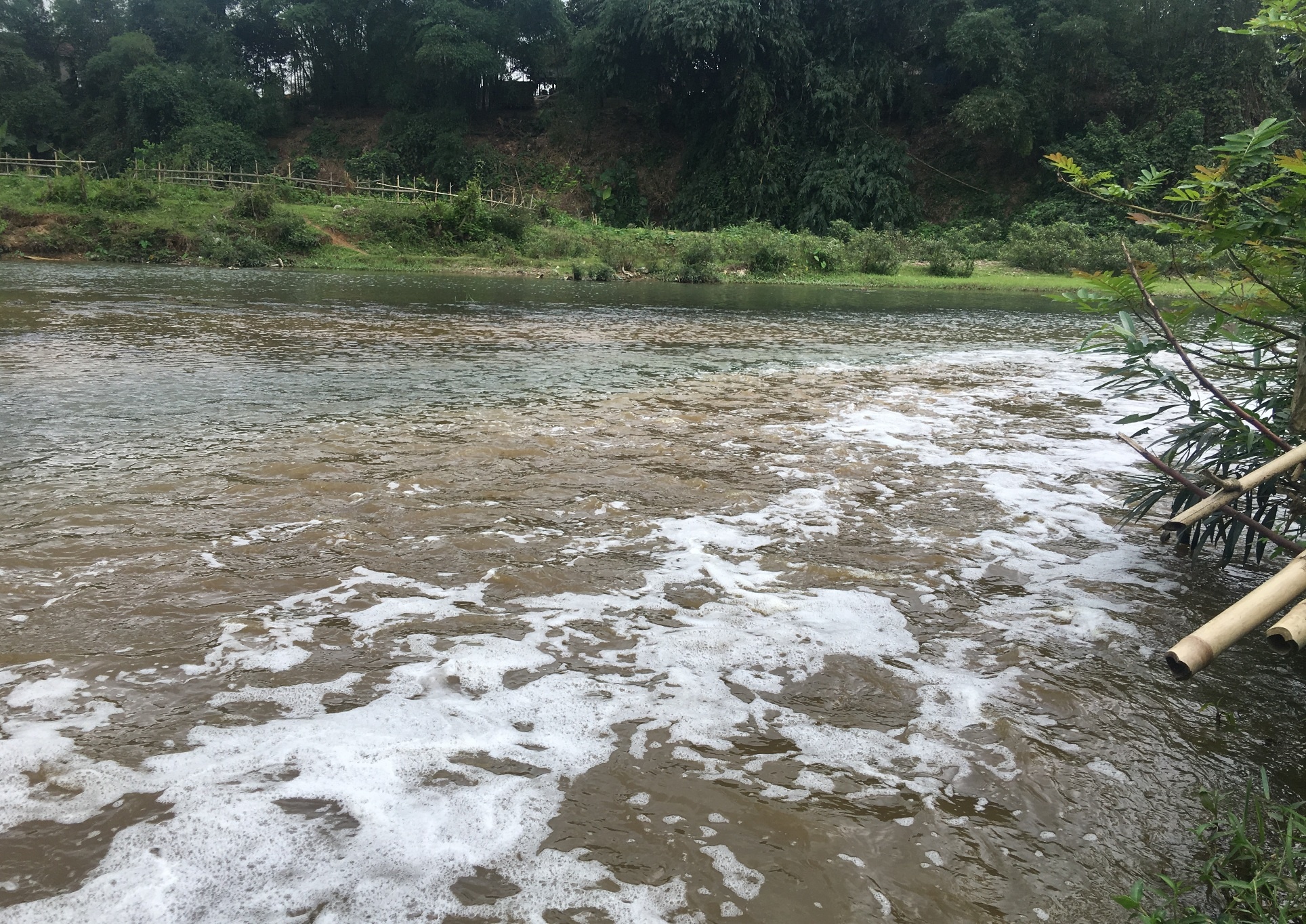 Doanh nghiep chon ong ngam xa thai ra song Am hinh anh