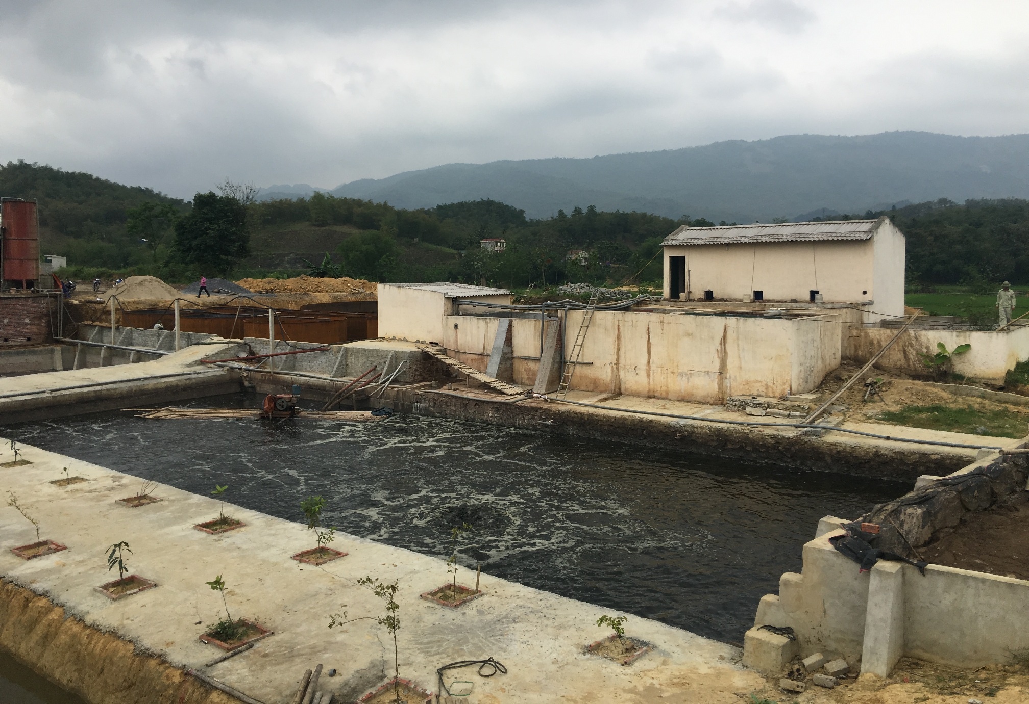 chon ong ngam xa thai anh 3