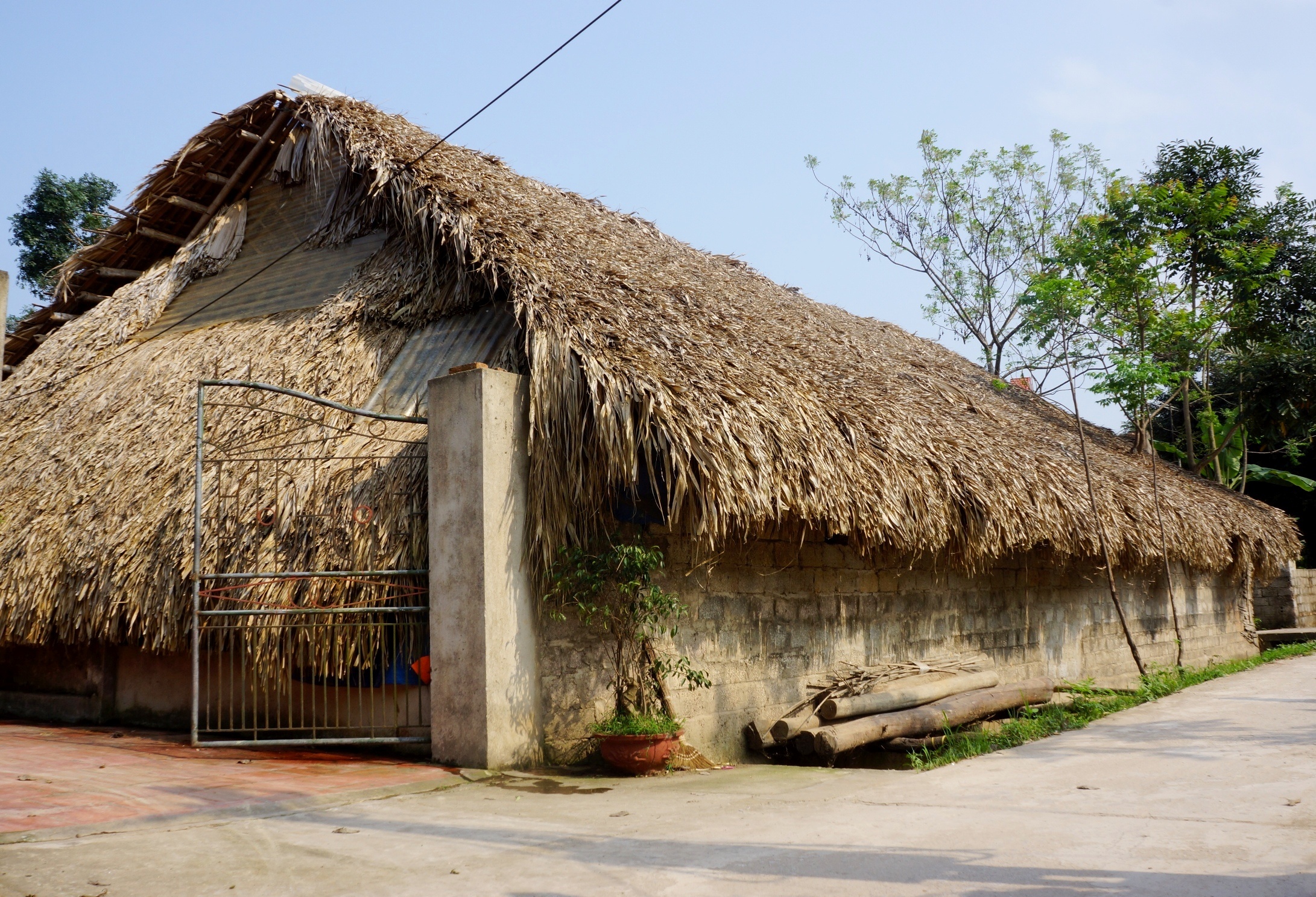 cu nhan ve que nuoi nam anh 3