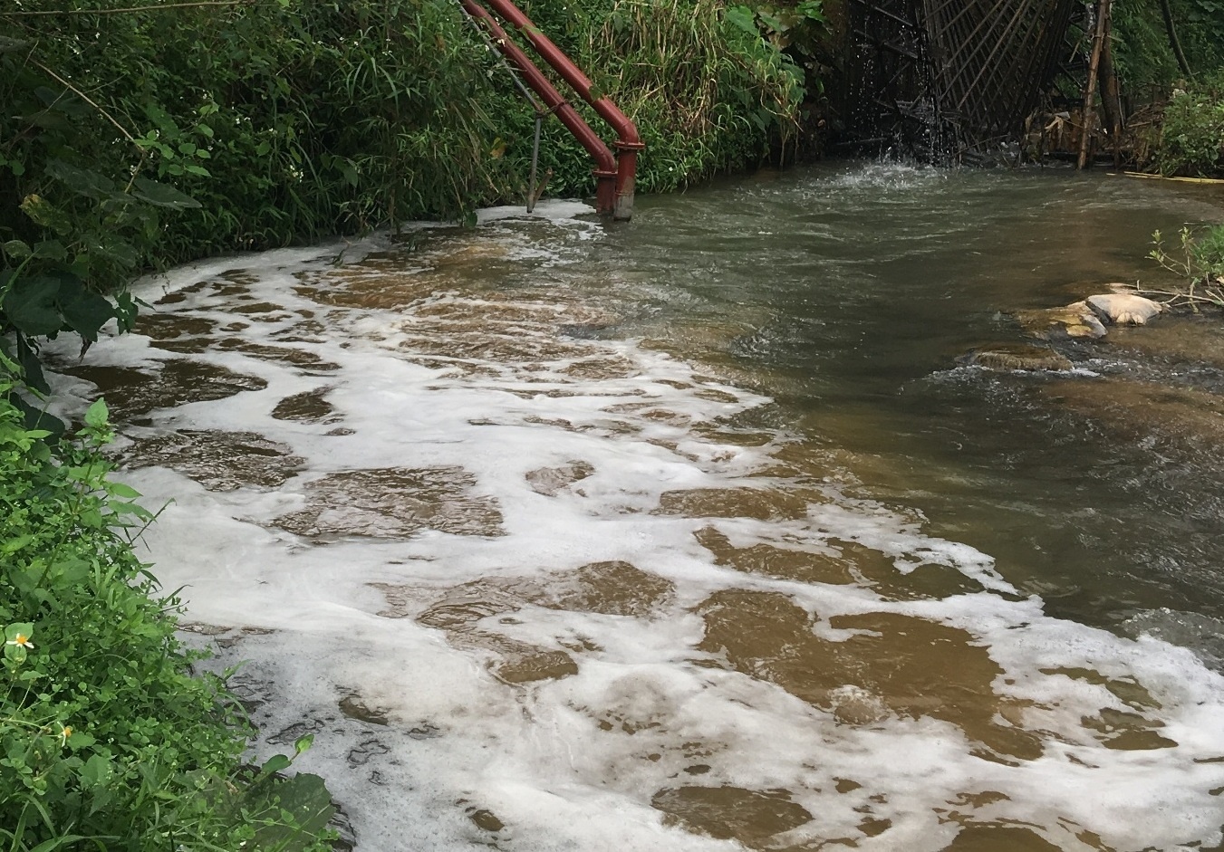 De nghi dung hoat dong doanh nghiep xa thai ra song Am hinh anh