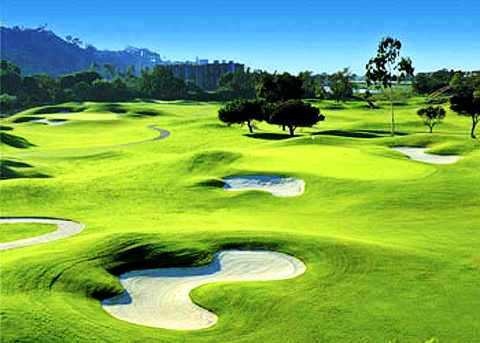 Thu tuong yeu cau kiem tra viec lay dat nong nghiep xay san golf hinh anh