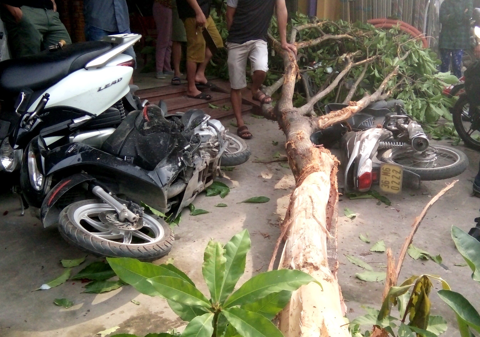 xe camry tong hang loat xe may anh 2