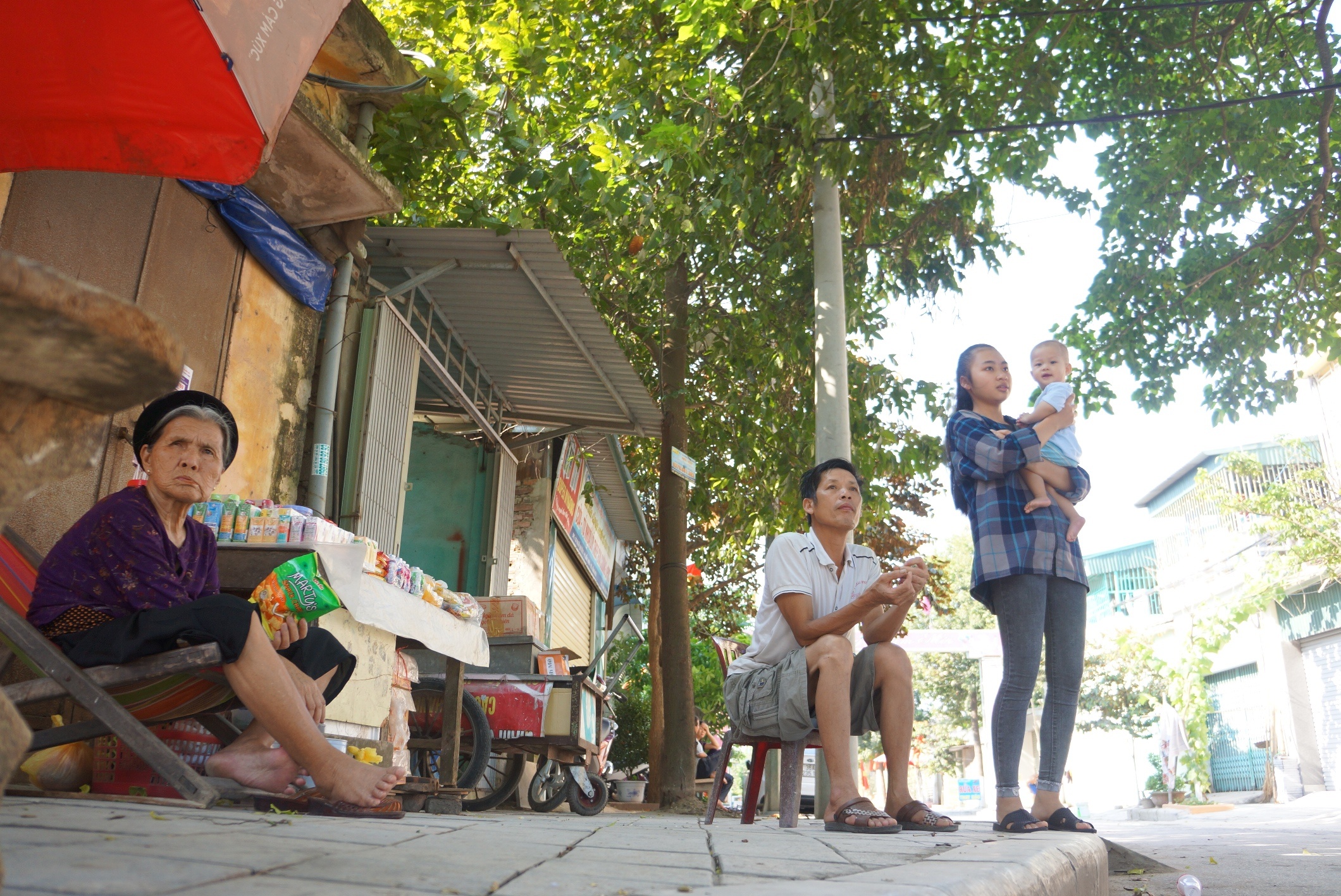 con duong ne cay co thu anh 5