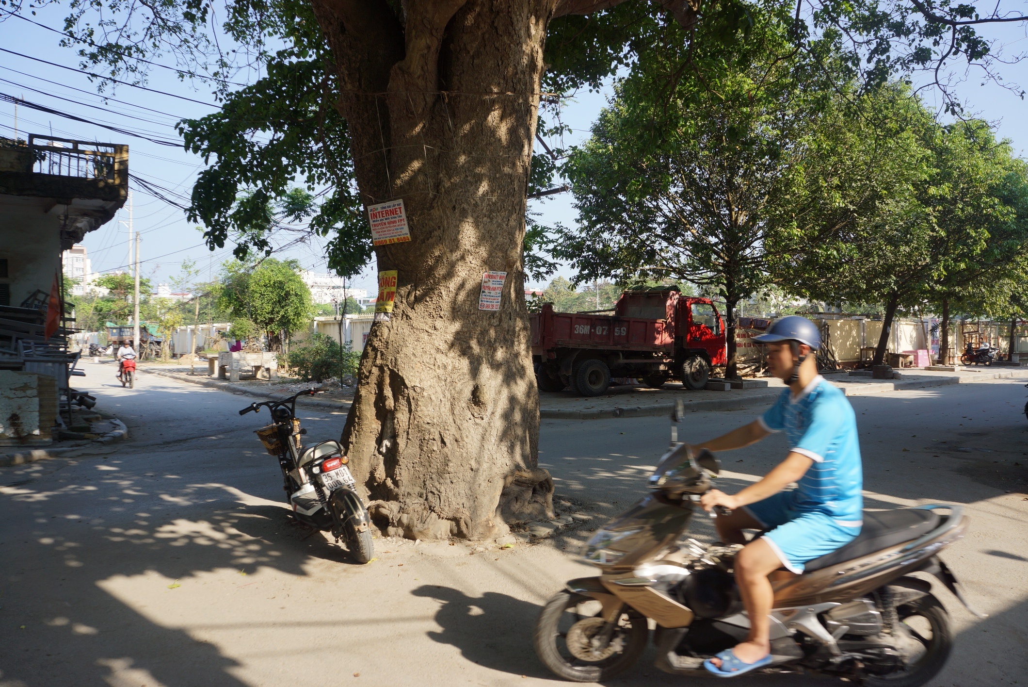 con duong ne cay co thu anh 6