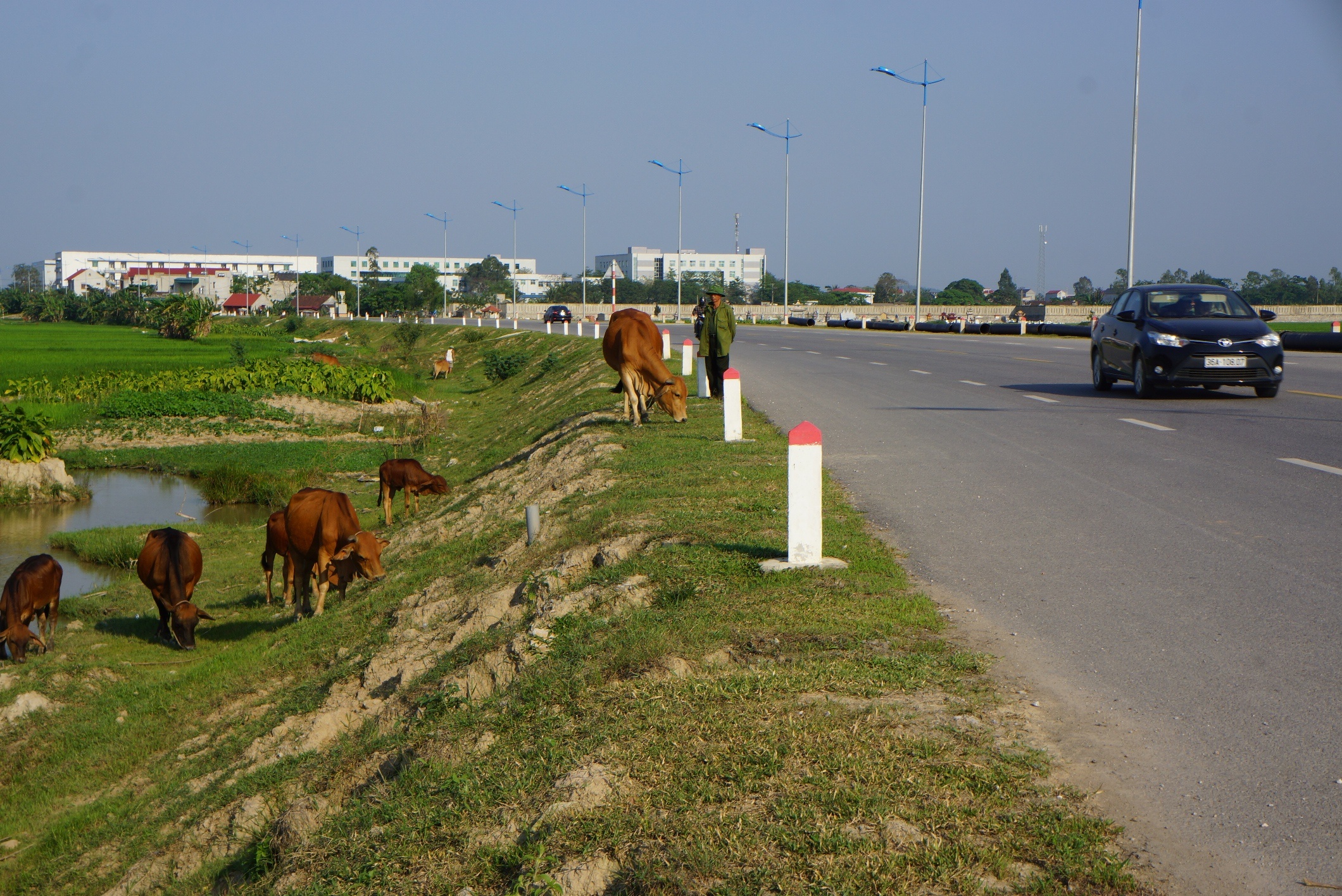 vet ve tu than anh 10