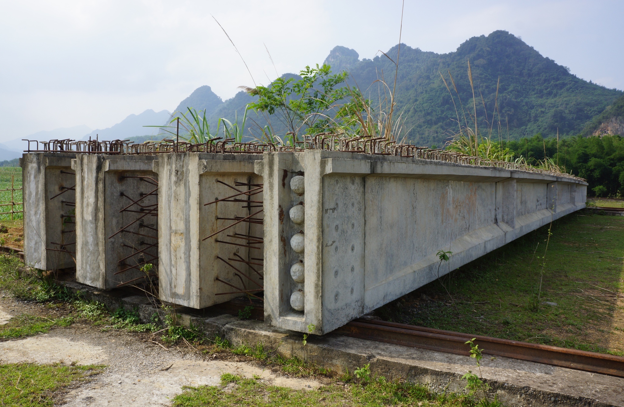 du an cau 75 ty do dang anh 9