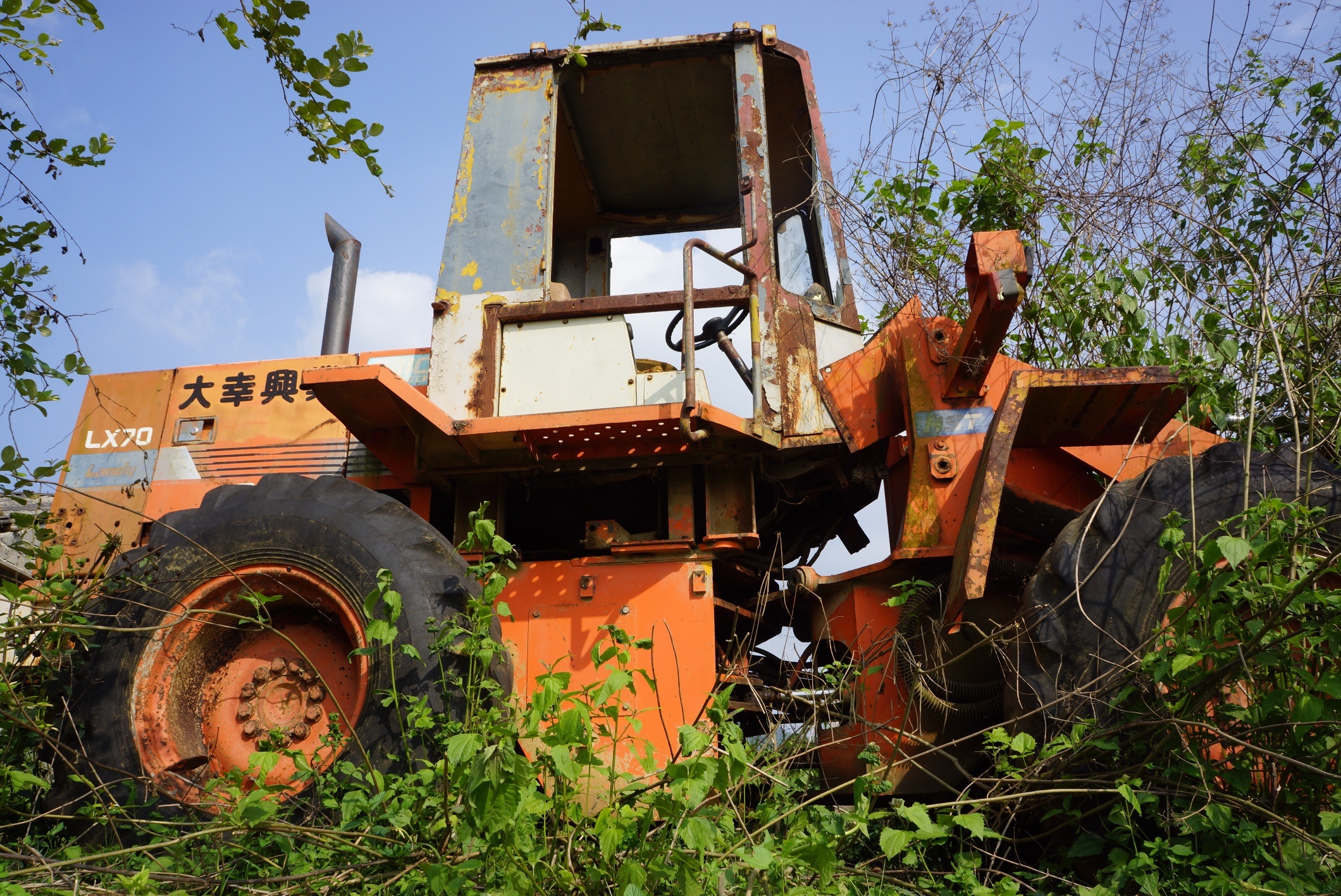 du an cau 75 ty do dang anh 6