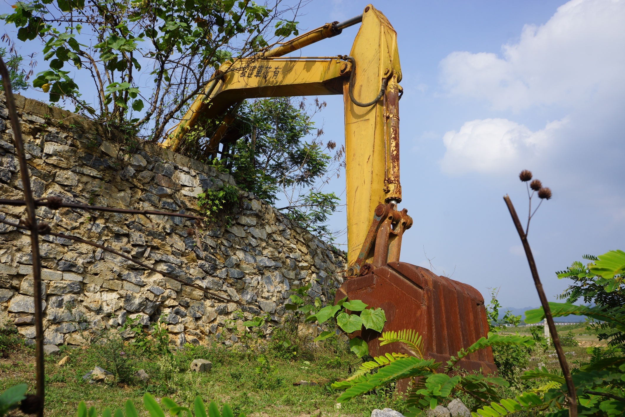 du an cau 75 ty do dang anh 7