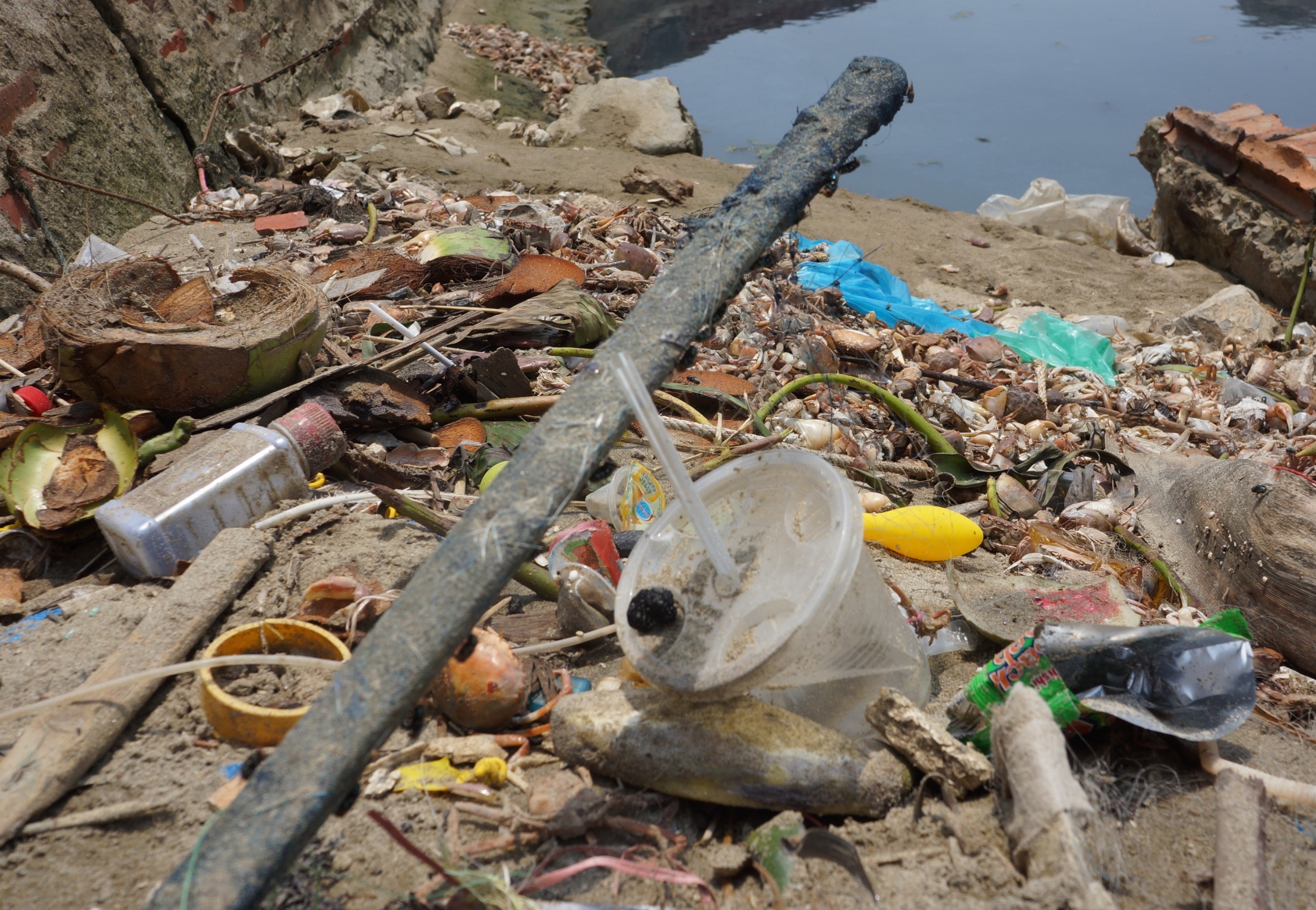 Kenh nuoc thai o Sam Son anh 8