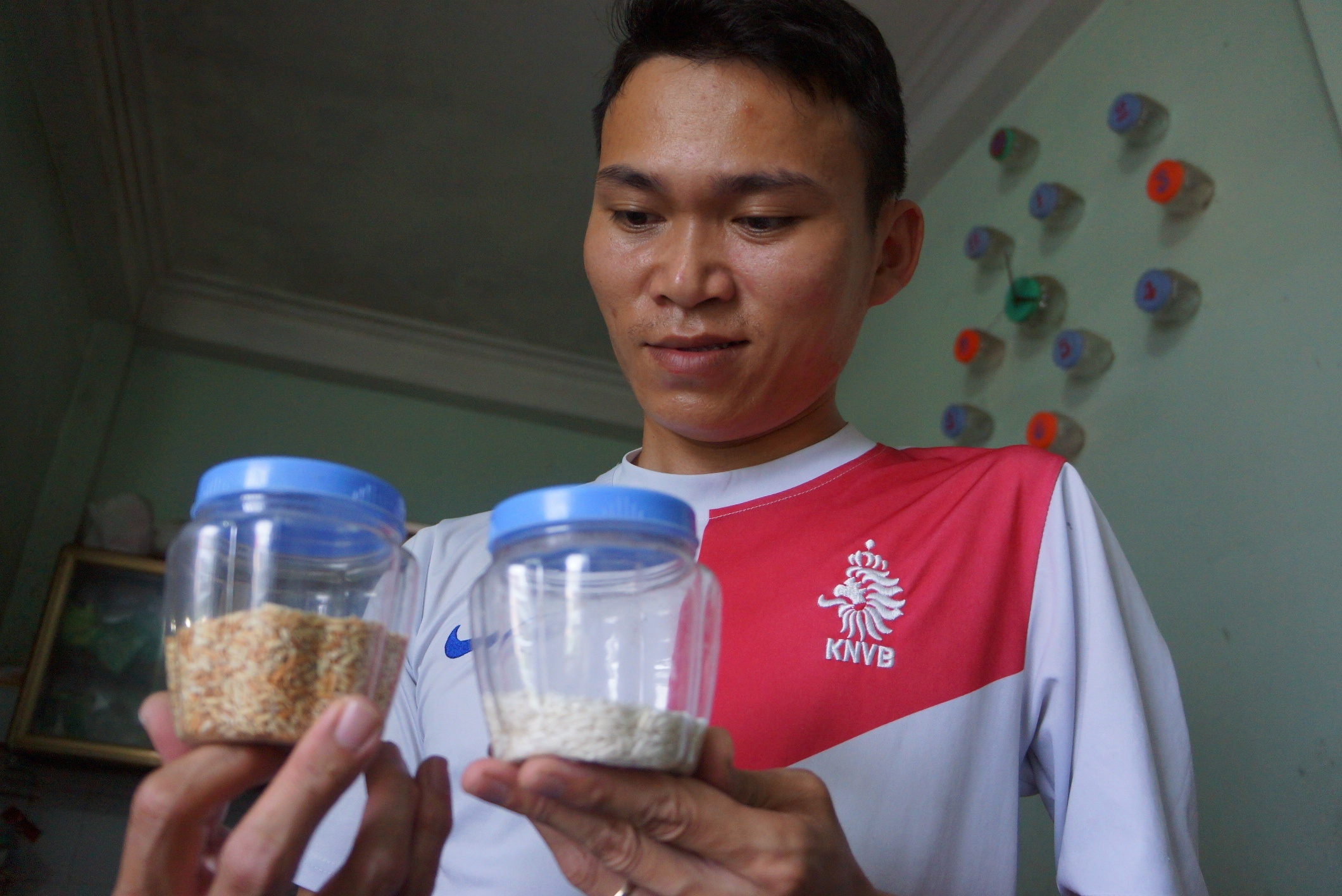 Ve tranh bang hat gao anh 3