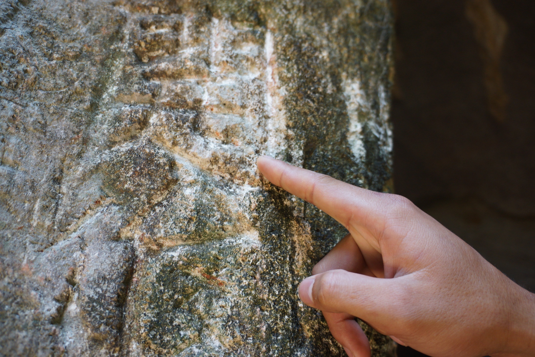 chua Bich Dong bi ve ban anh 9