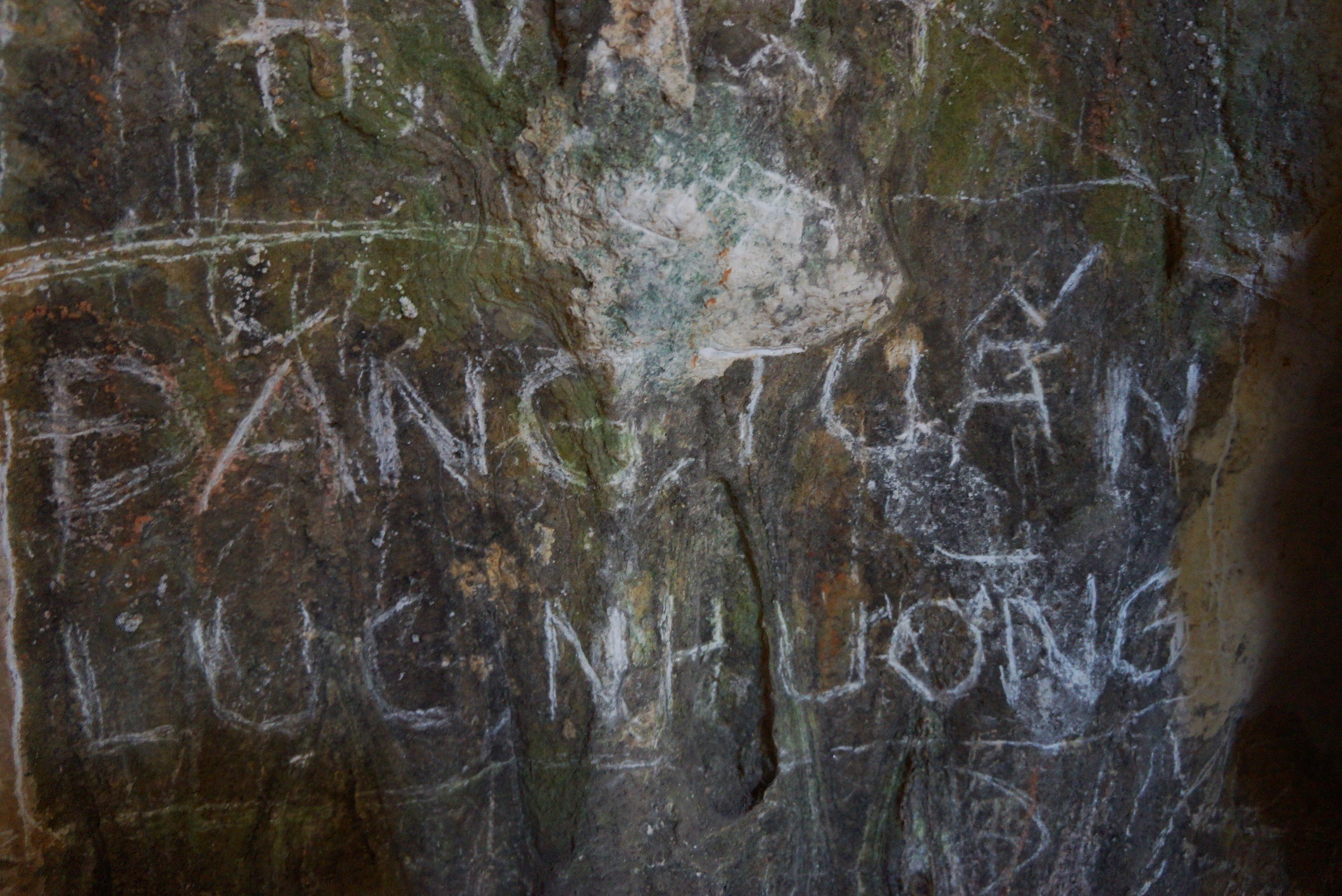 chua Bich Dong bi ve ban anh 7