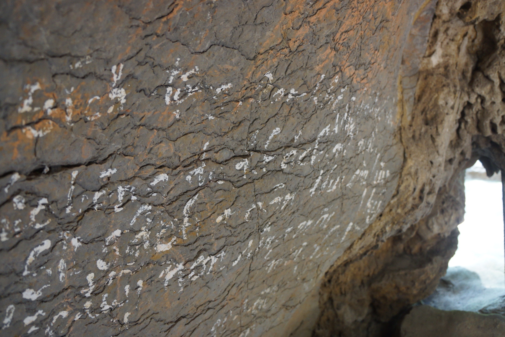 chua Bich Dong bi ve ban anh 6