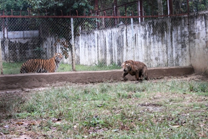 nam sinh bi ho vo anh 2